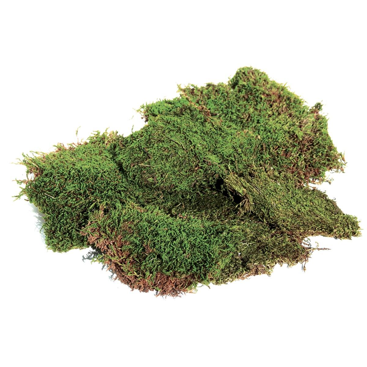 SuperMoss (22168) Sheet Moss Mini (Shredded) Preserved, Fresh Green, 10lbs