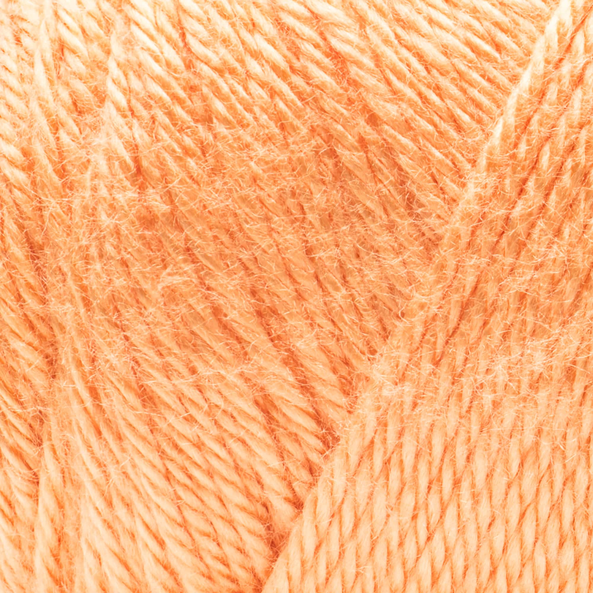 Caron® Simply Soft® Solid Yarn