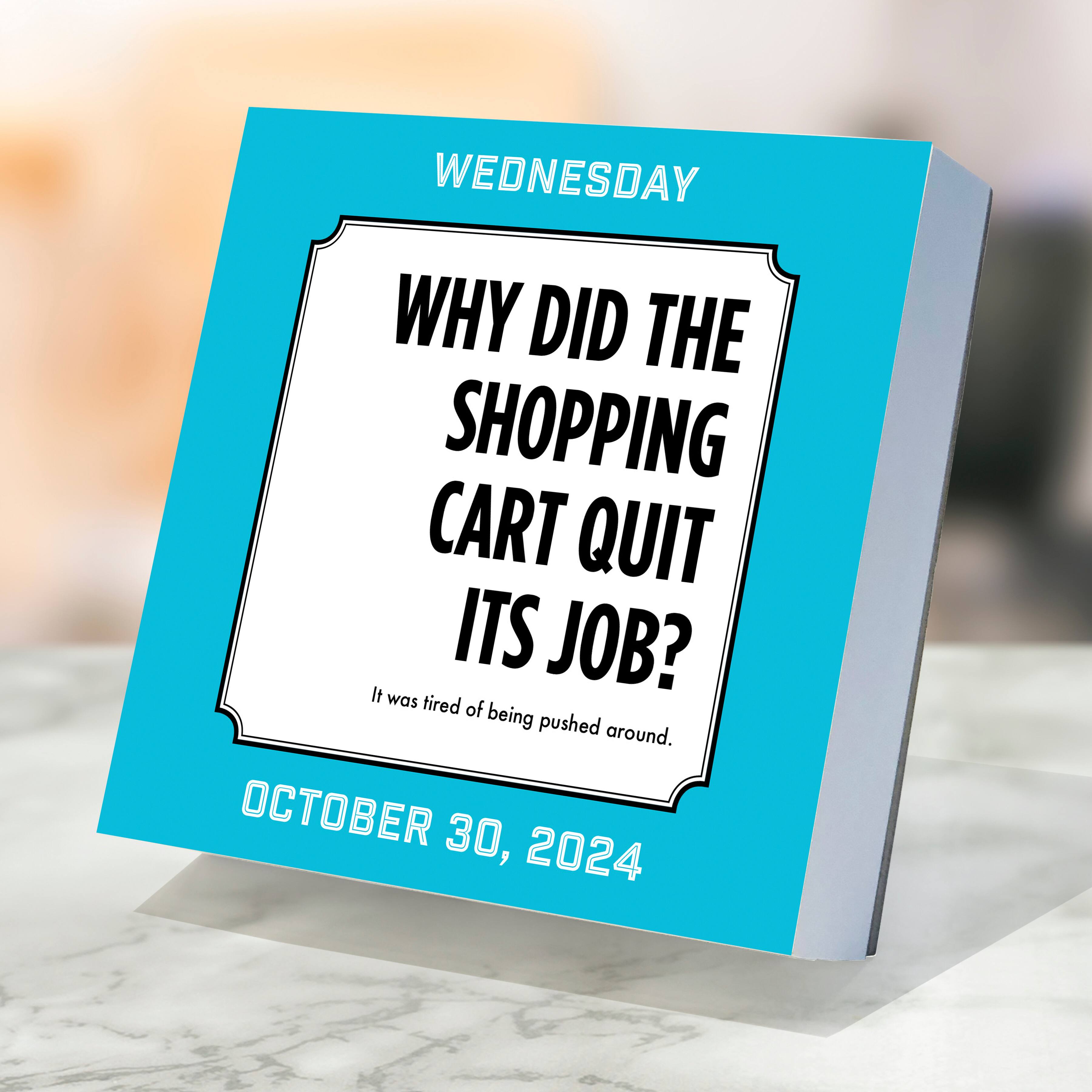 TF Publishing 2024 Dad Jokes Daily Desktop Calendar