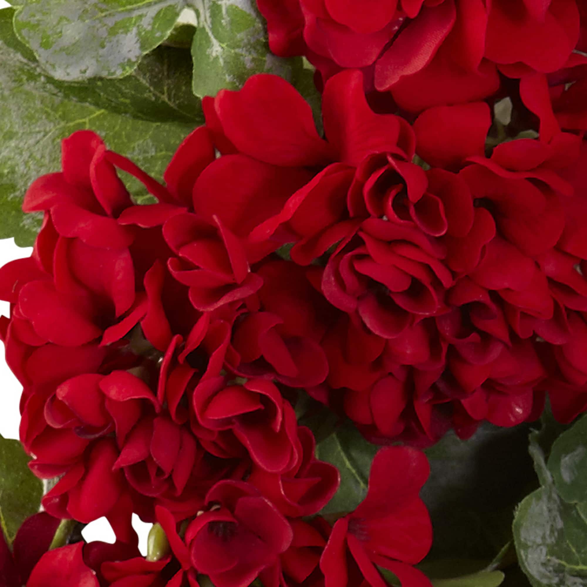 17&#x201D; Red Geranium Wreath