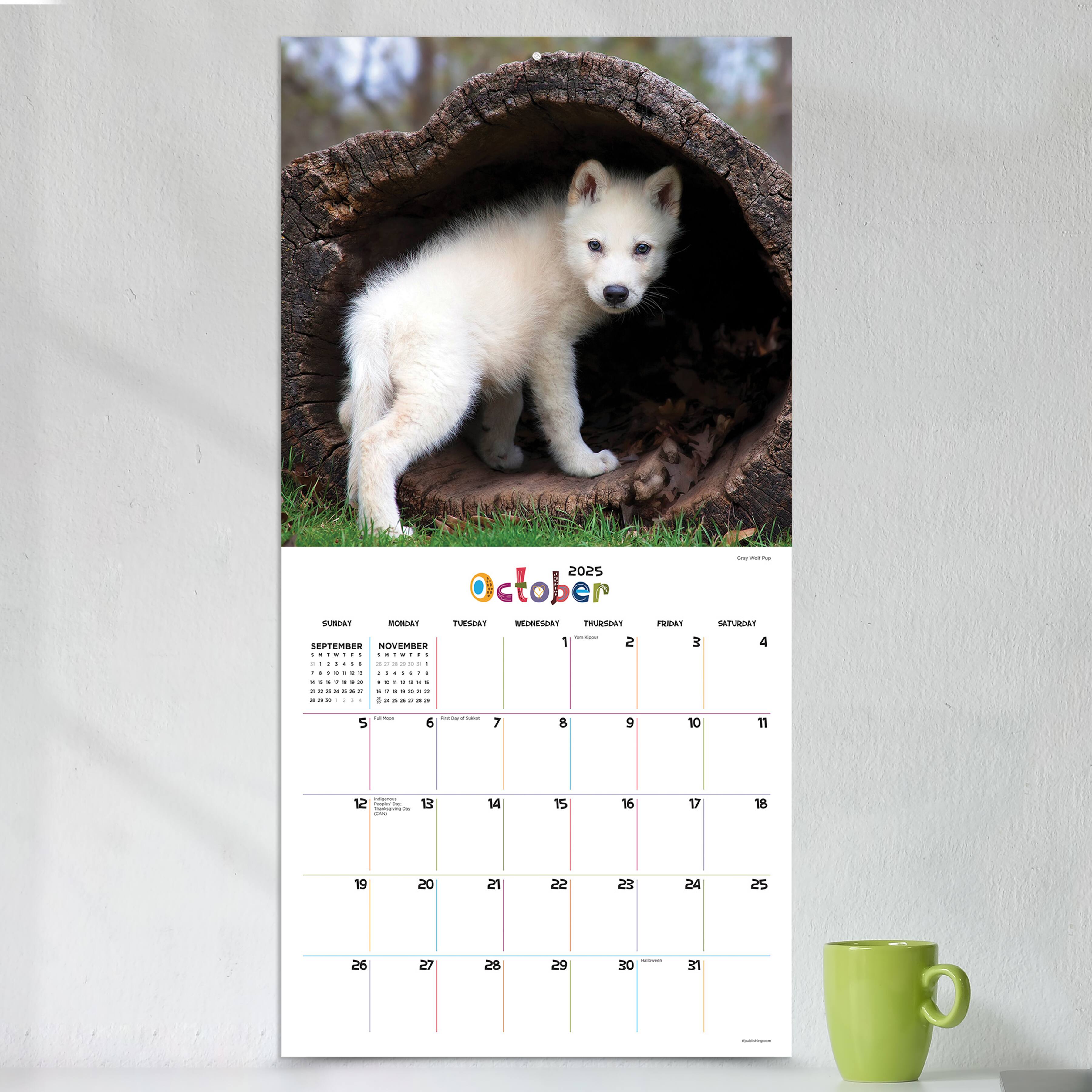 TF Publishing 2025 Baby Animals Wall Calendar