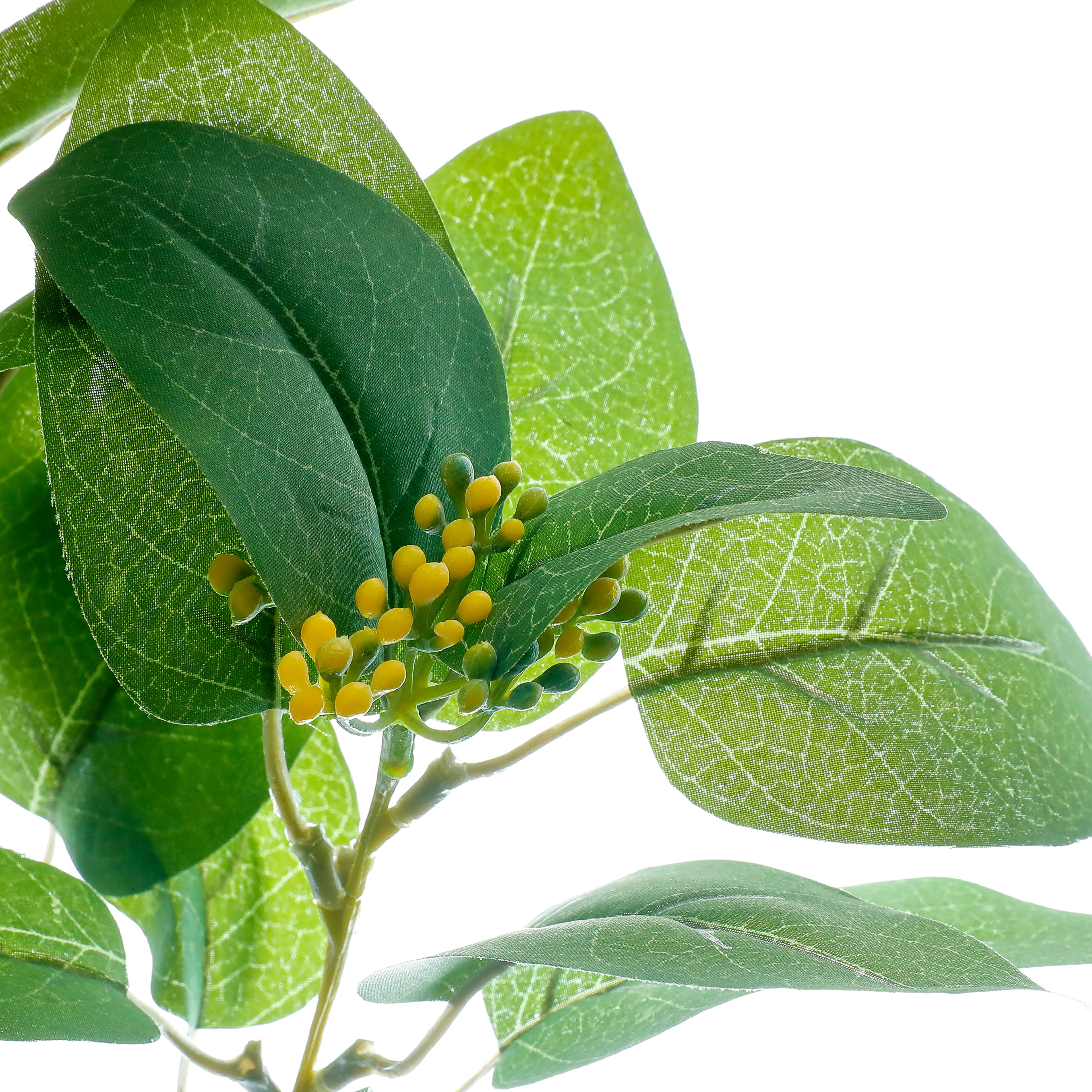 27.75&#x22; Eucalyptus with Yellow Berries Stem by Ashland&#xAE;
