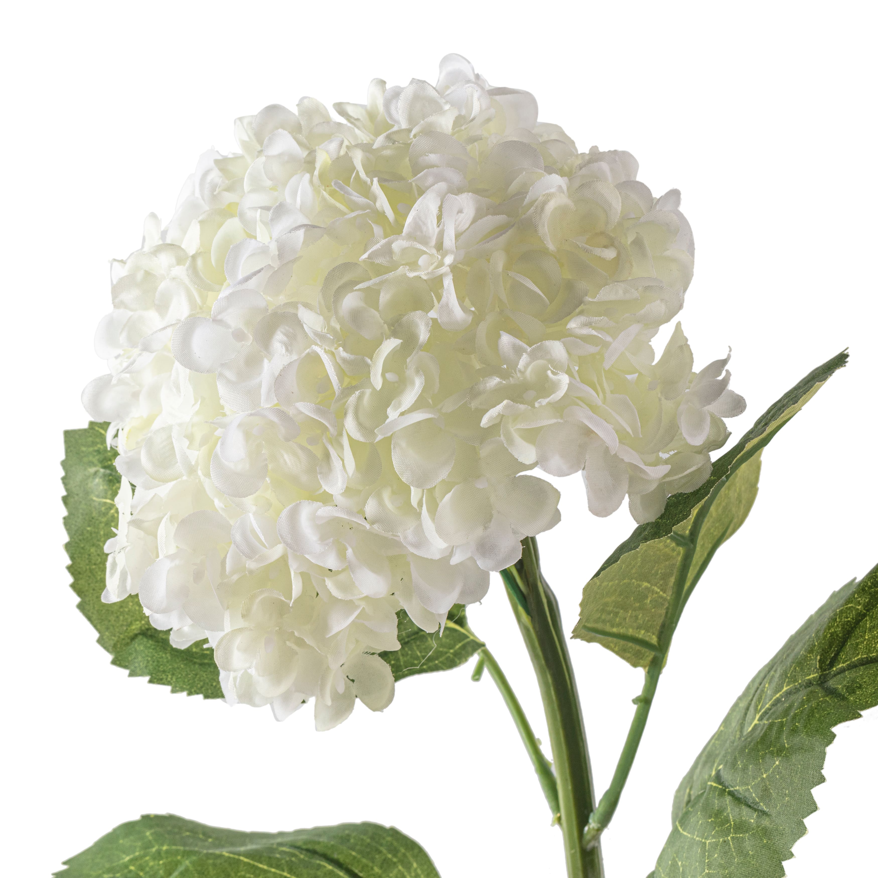 Small Cream Hydrangea Stem by Ashland&#xAE;