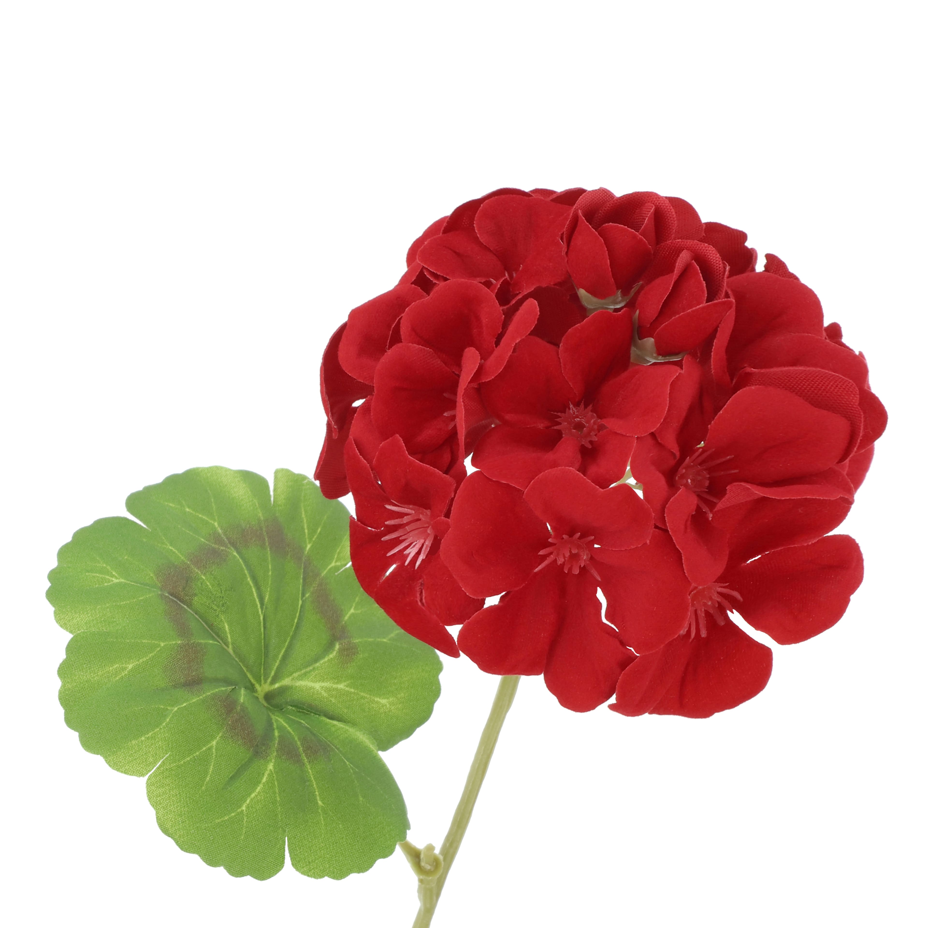 18.5&#x22; Geranium Bush by Ashland&#xAE;