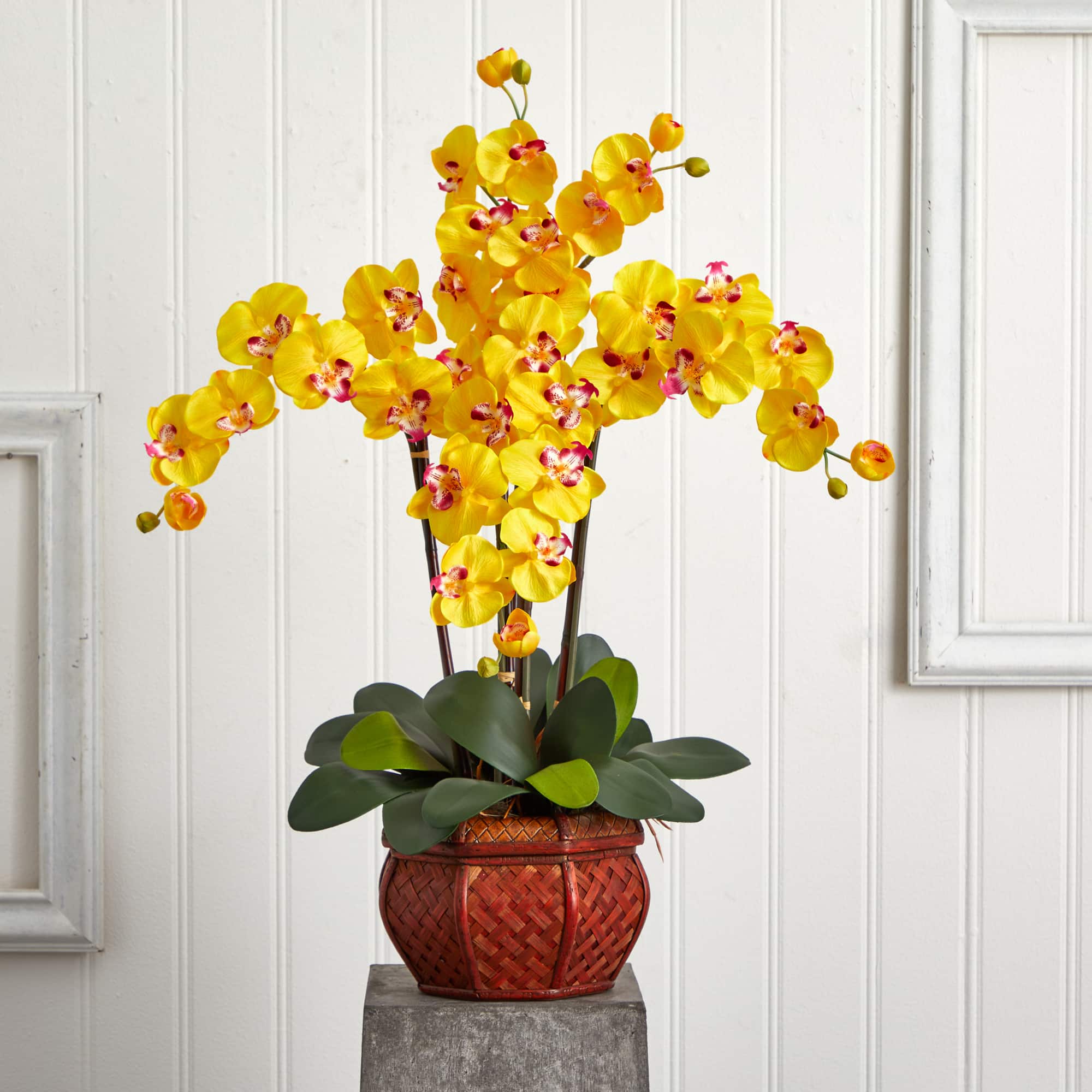 2.5ft. Yellow Moth Orchid Arrangement with Decorative Vase