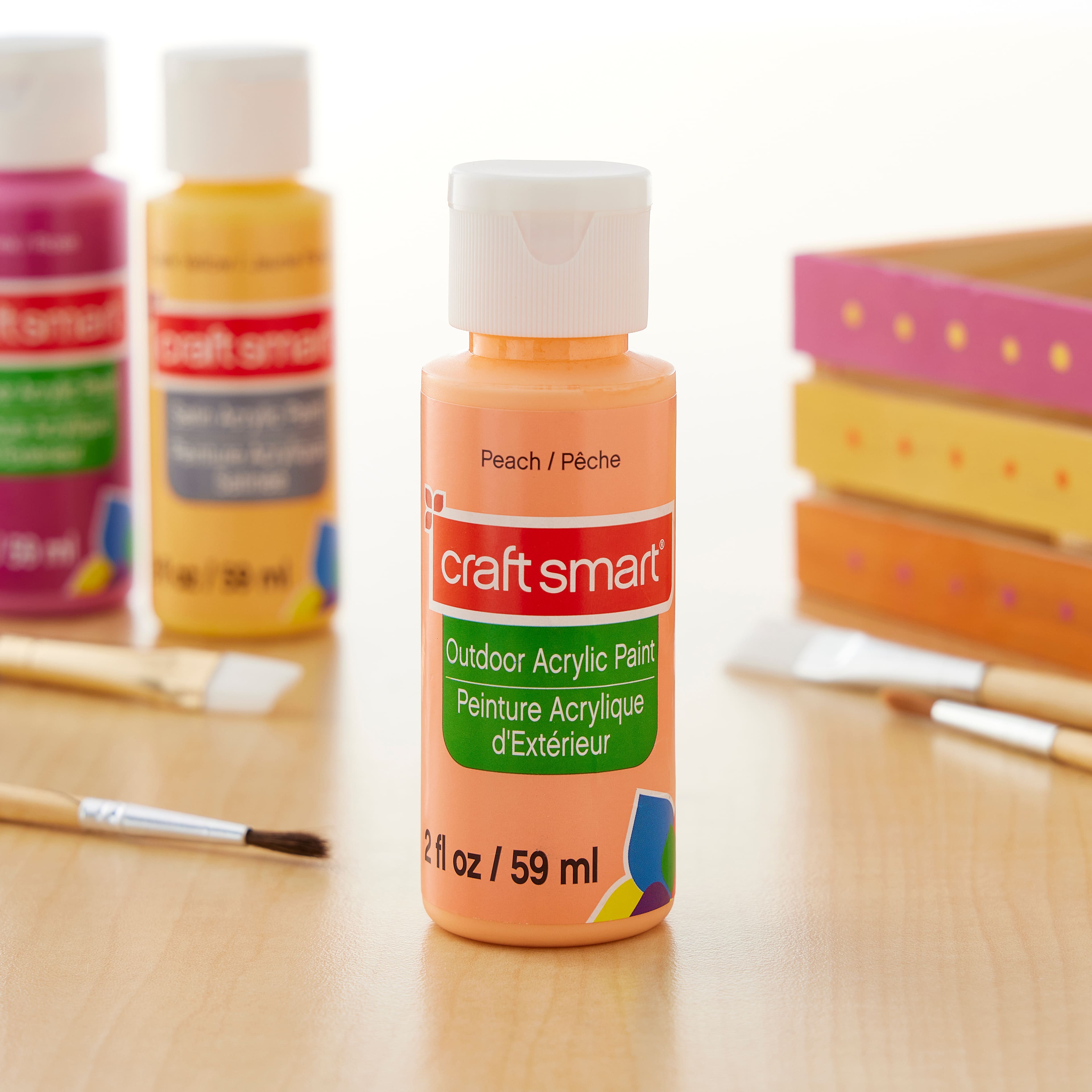 12 Pack: Outdoor Acrylic Paint by Craft Smart&#xAE;, 2oz.