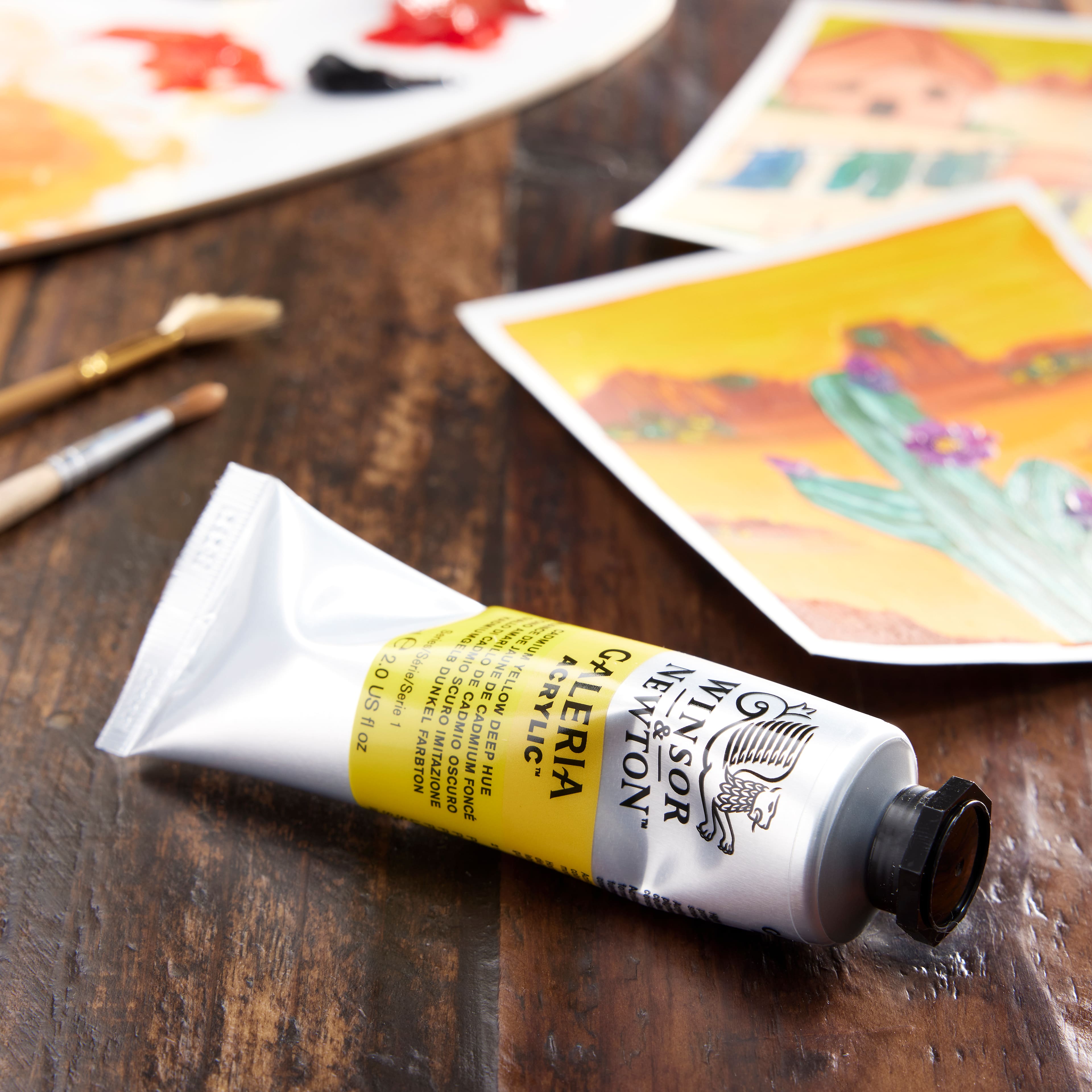 Winsor &#x26; Newton&#x2122; Galeria Acrylic&#x2122;, 60mL
