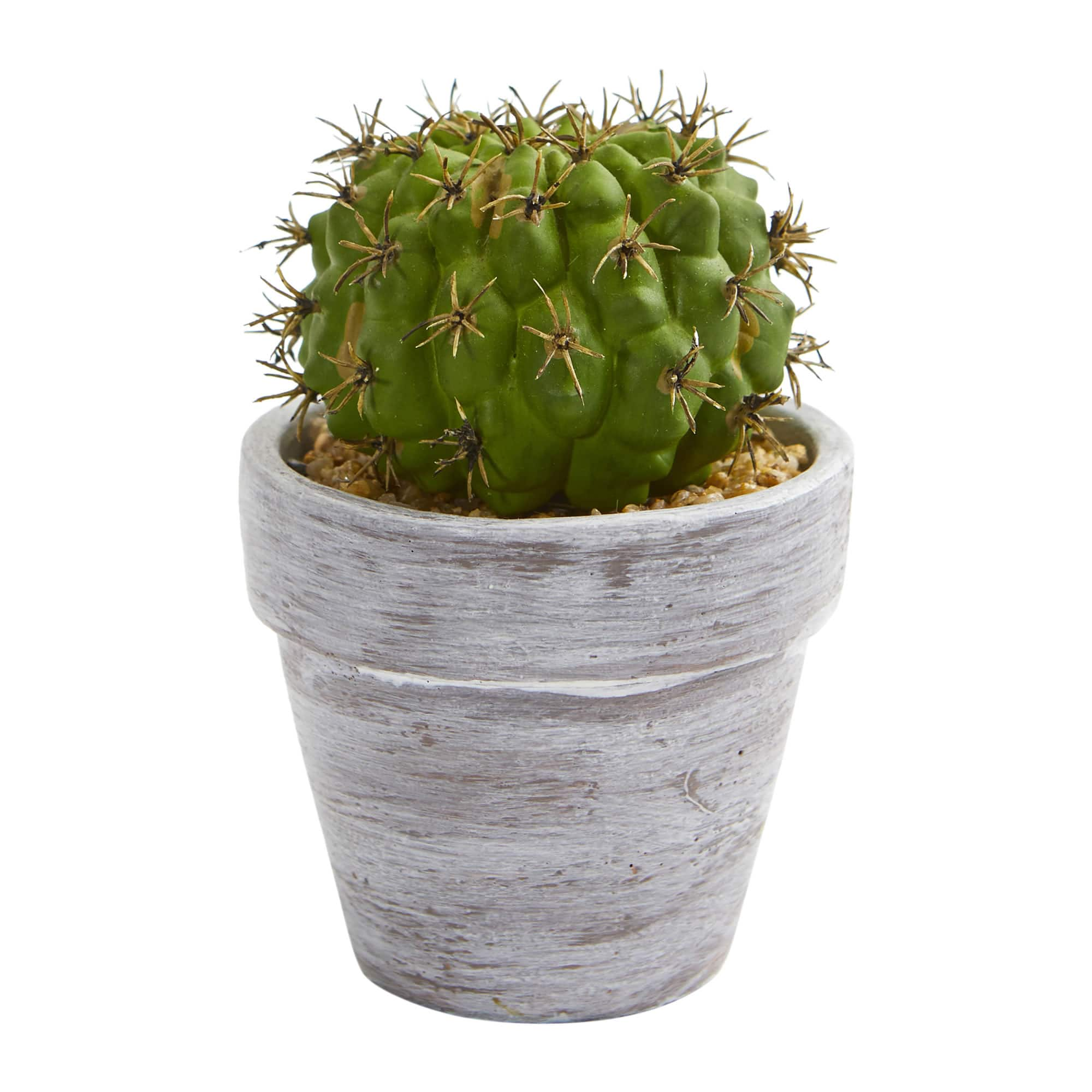 8&#x22; Assorted Potted Cactus Plant, 3ct.