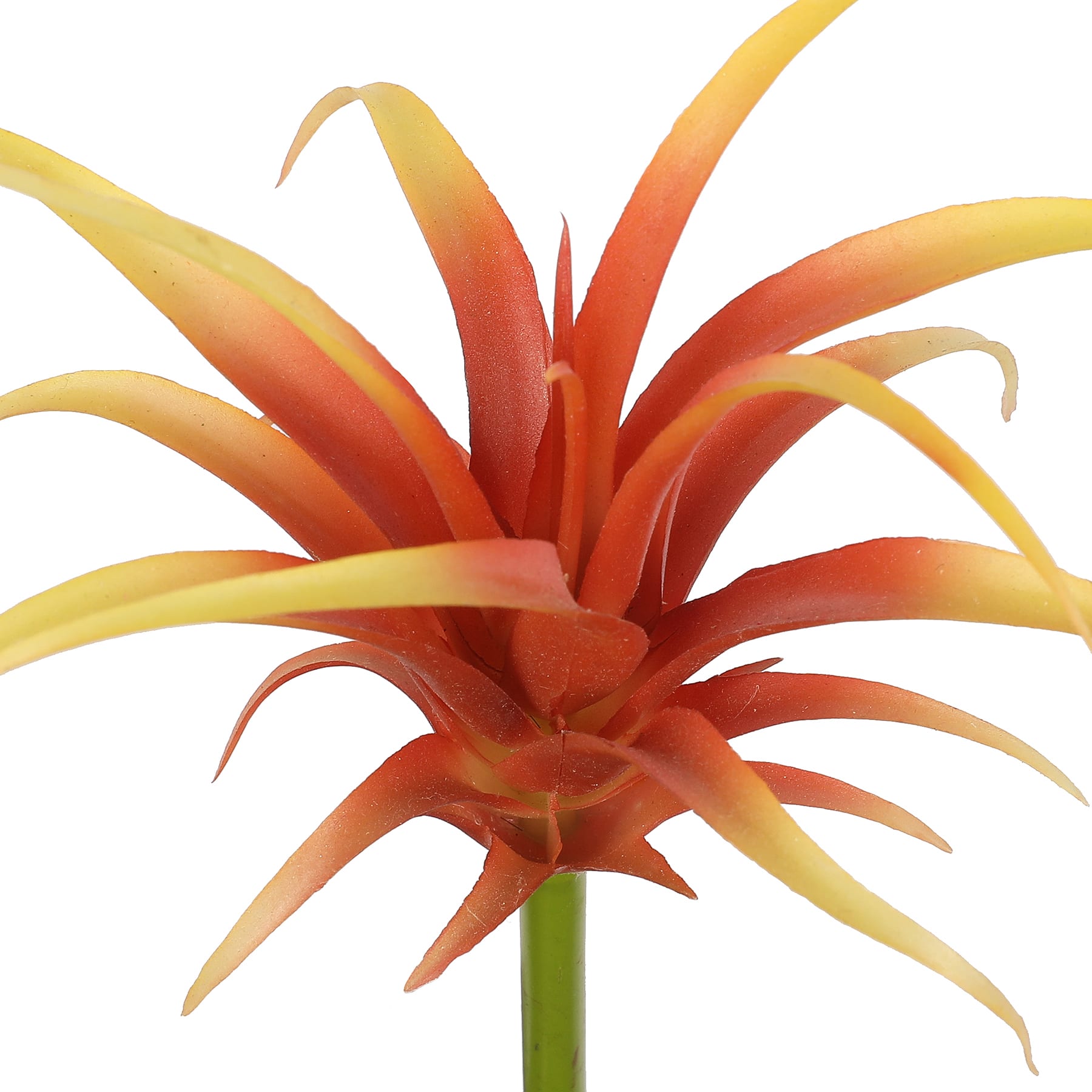 Assorted 7&#x22; Tillandsia Pick by Ashland&#xAE;