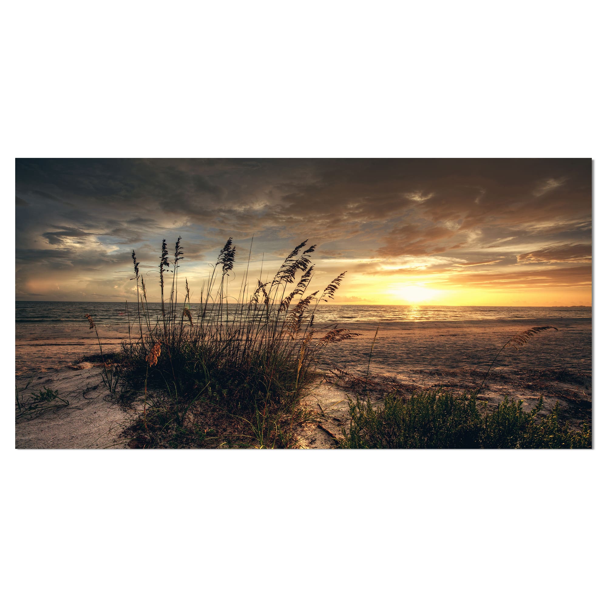 Designart - Grassy and beach sunset - Sea &#x26; Shore Photography on wrapped Canvas