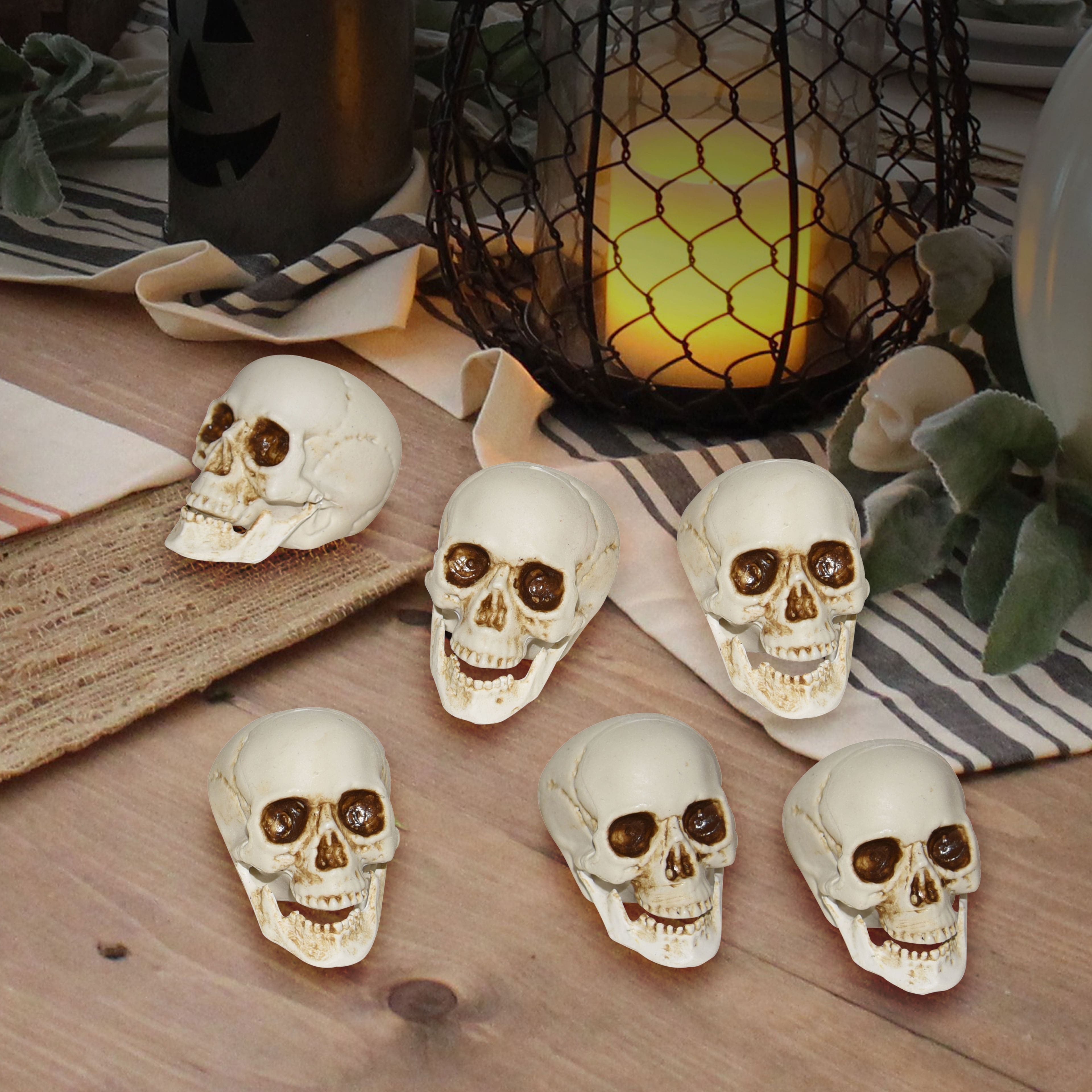 White Plastic Skulls, 6ct. by Ashland&#xAE;