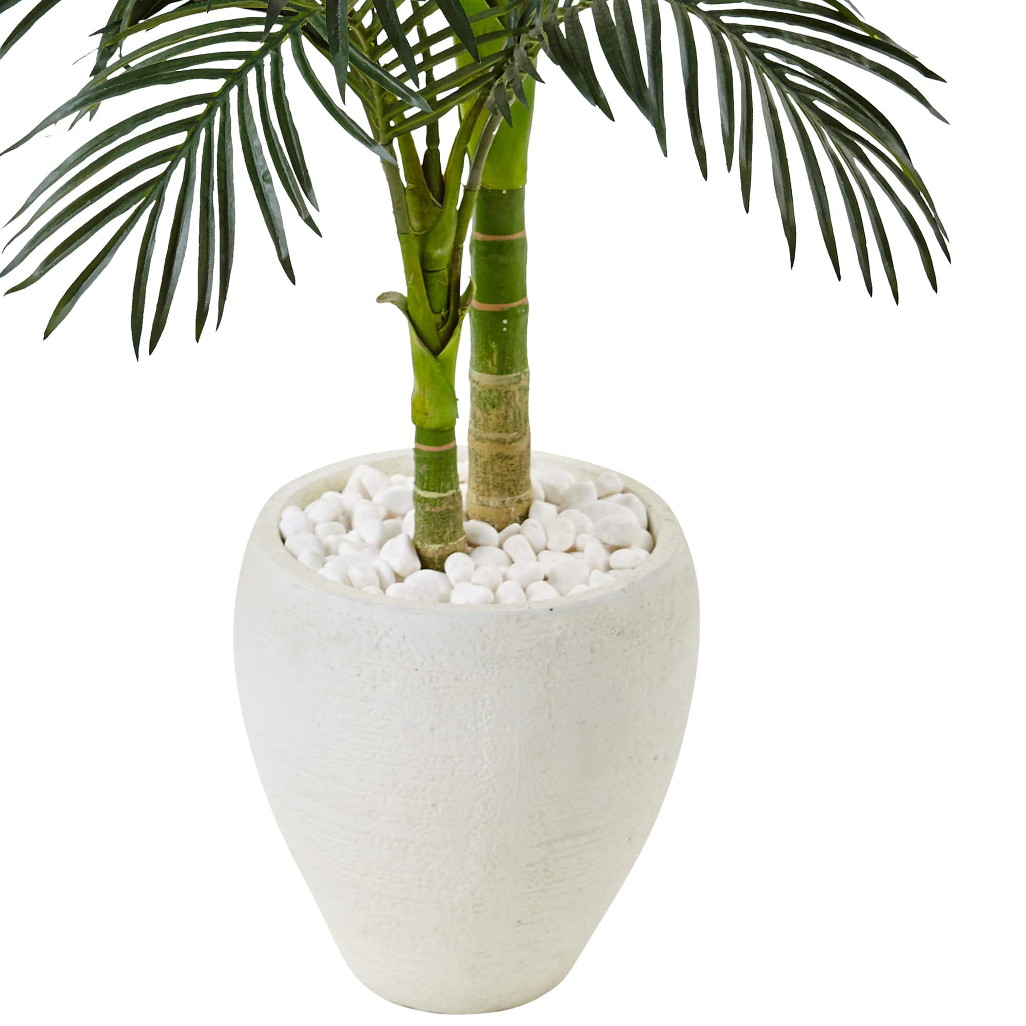 4.5ft. Golden Cane Palm Tree in White Oval Planter