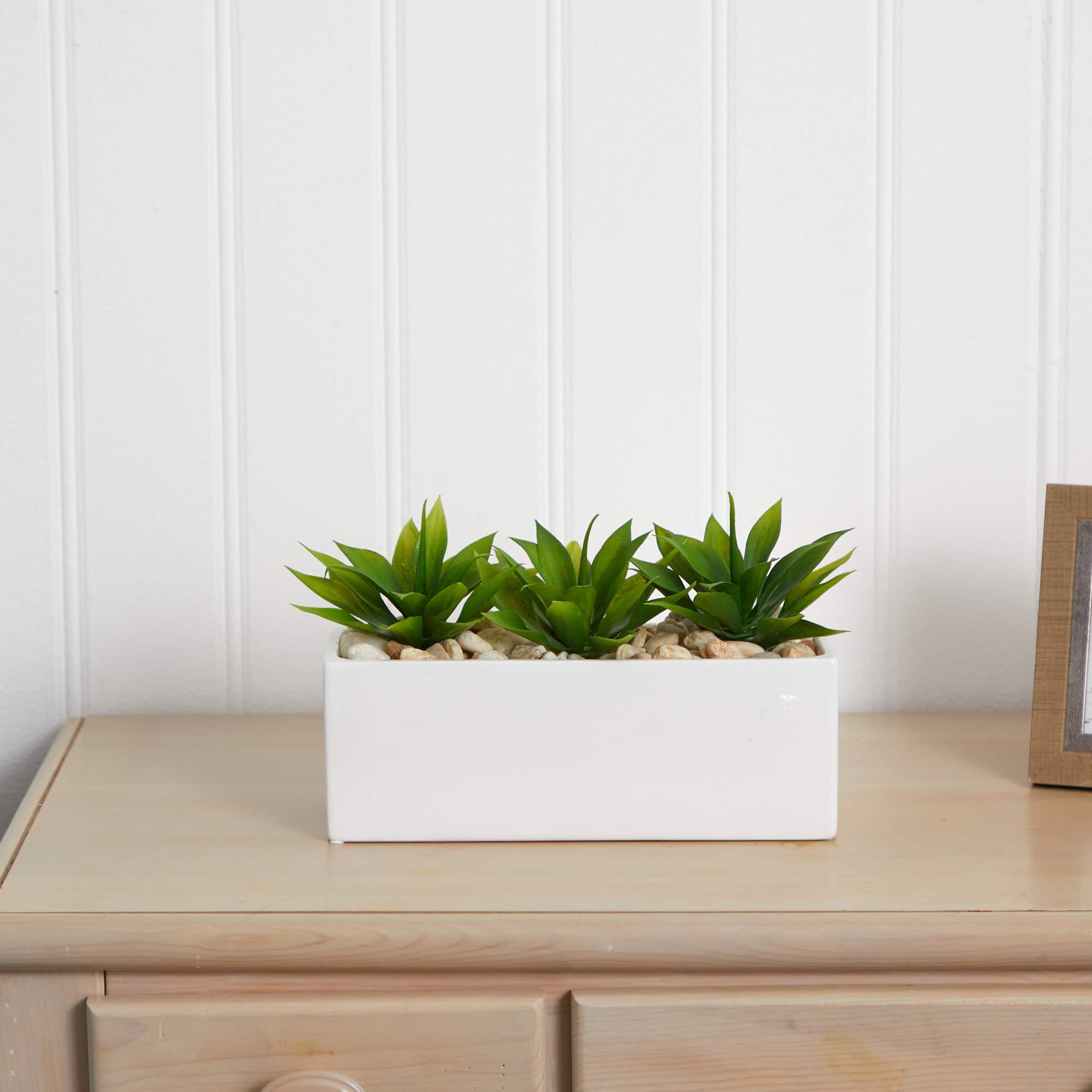 13&#x22; Agave Succulent in White Rectangular Planter