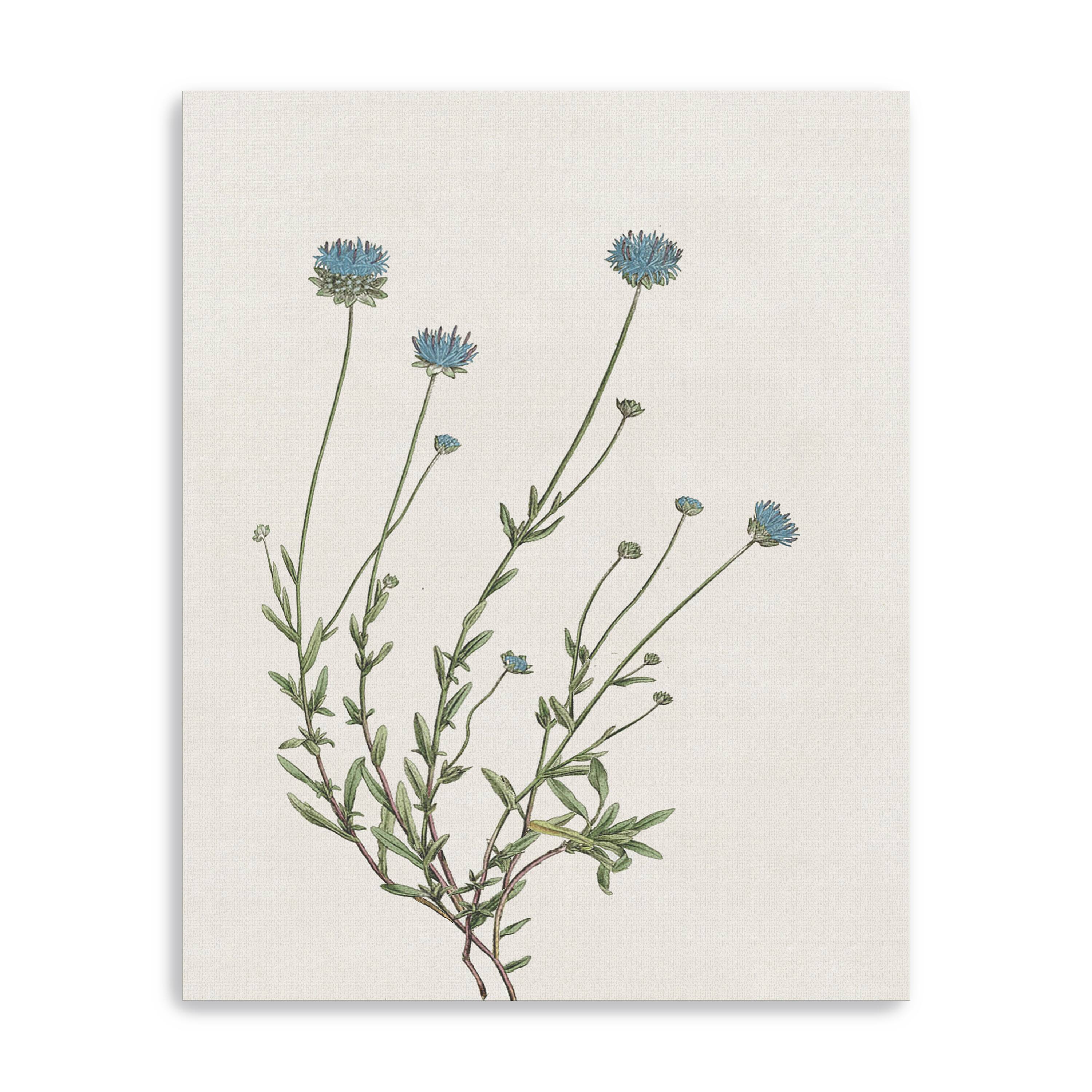 Blue Wispy I Canvas Giclee