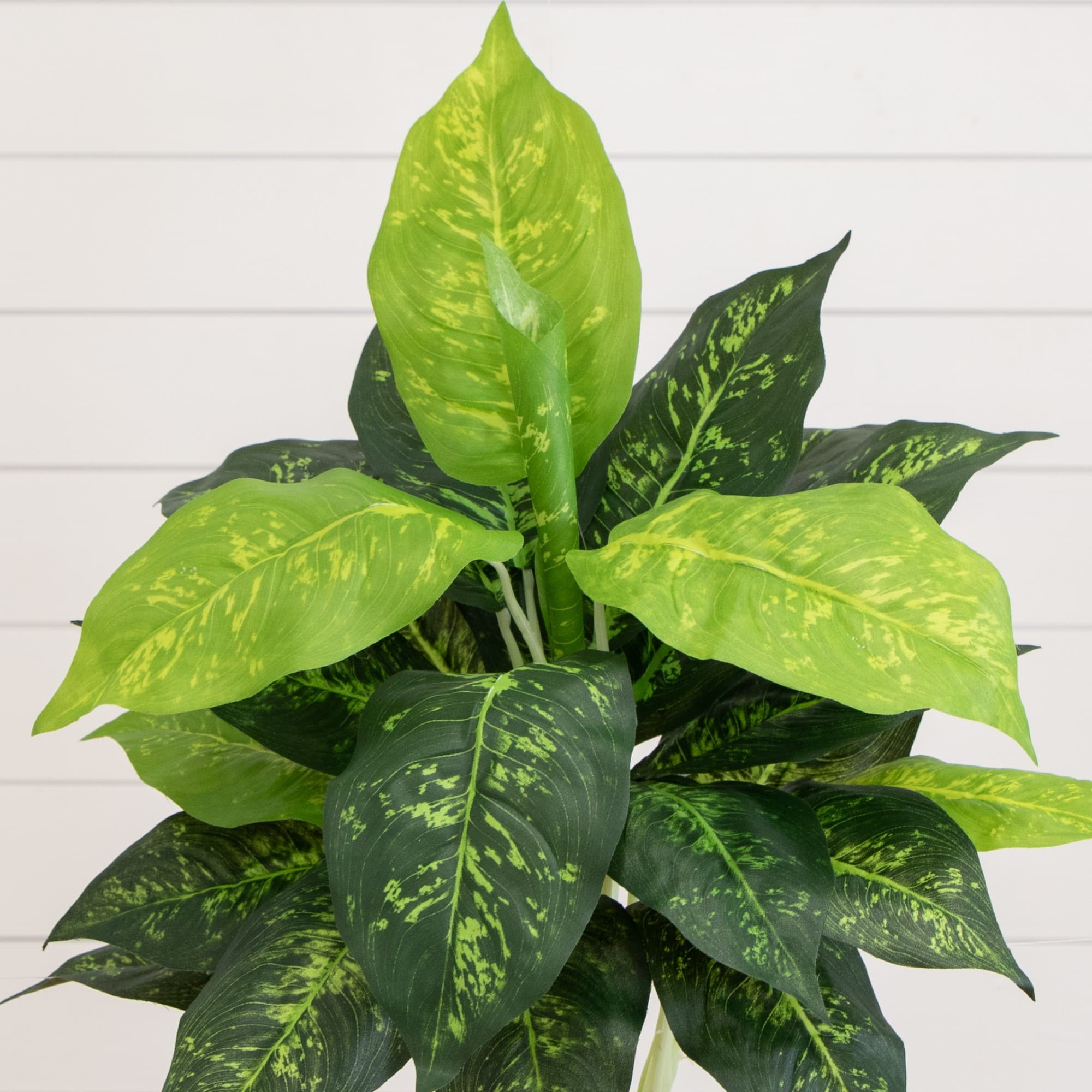 19" Artificial Dieffenbachia Plants, 6ct.