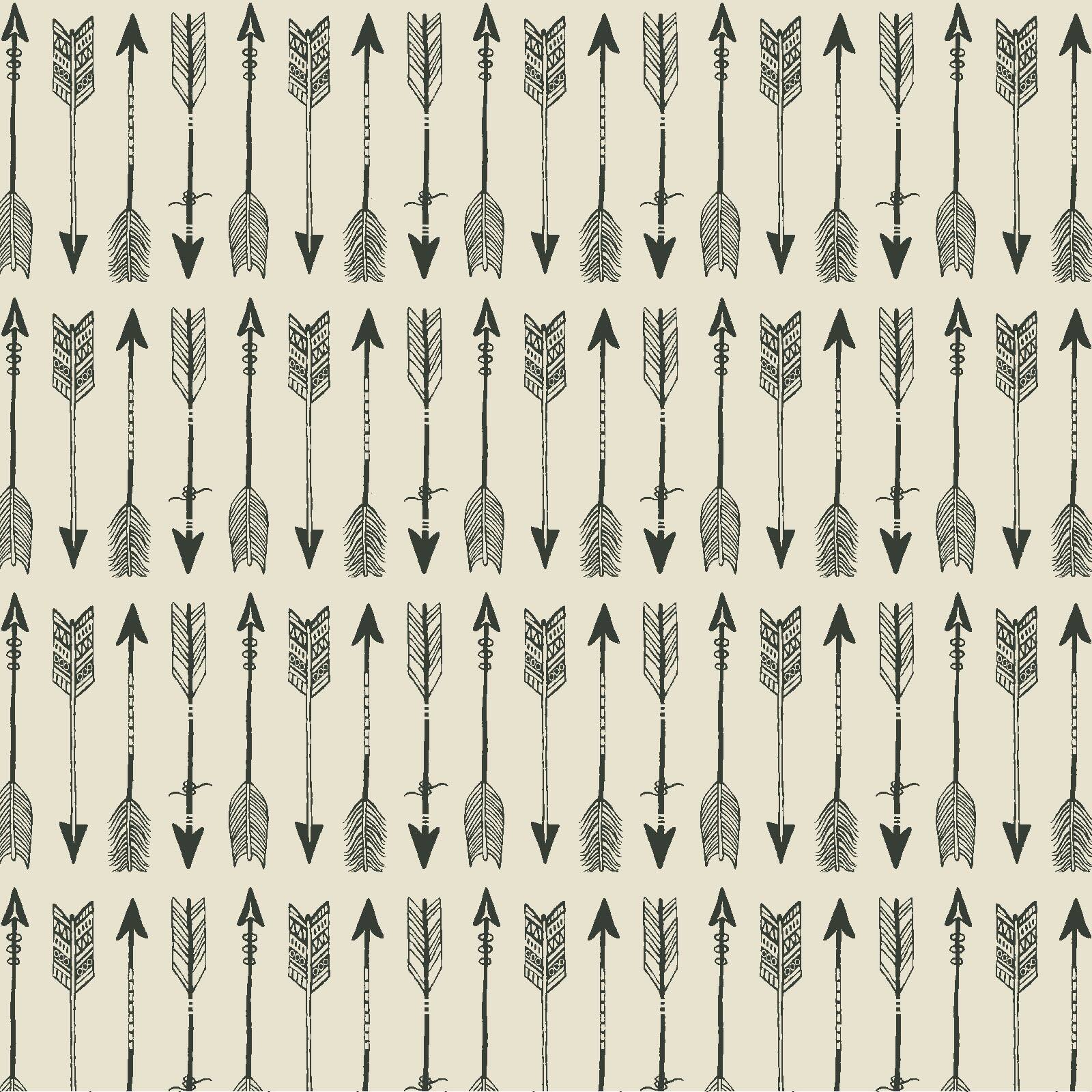 PKL Studio Arrows on White Cotton Home D&#xE9;cor Fabric