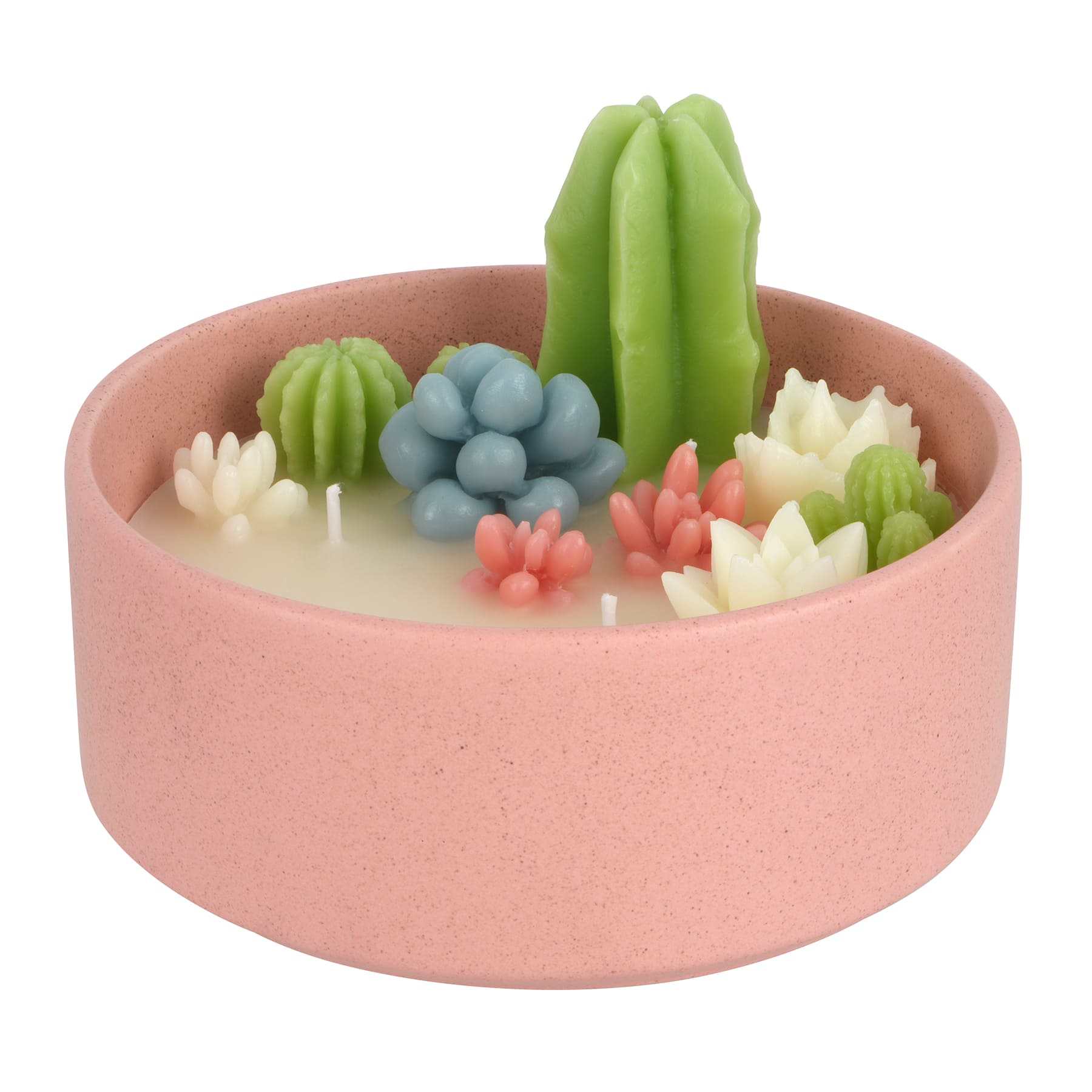 Cactus Soy Candle in Ceramic Bowl by Ashland&#xAE;