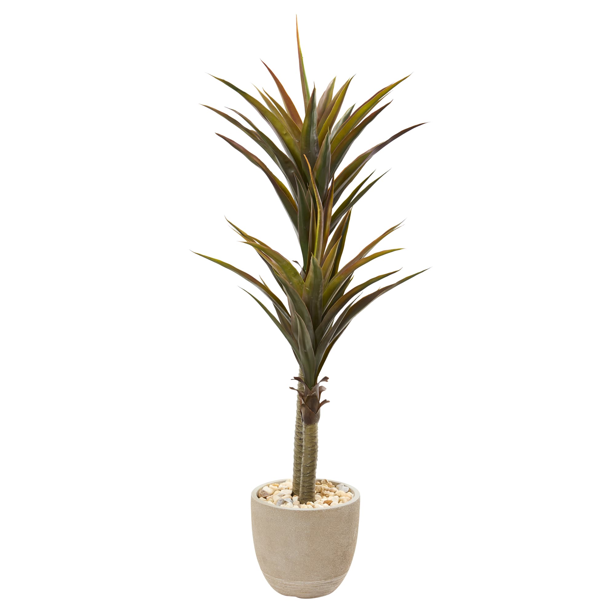 5ft. Yucca Tree in Sandstone Planter