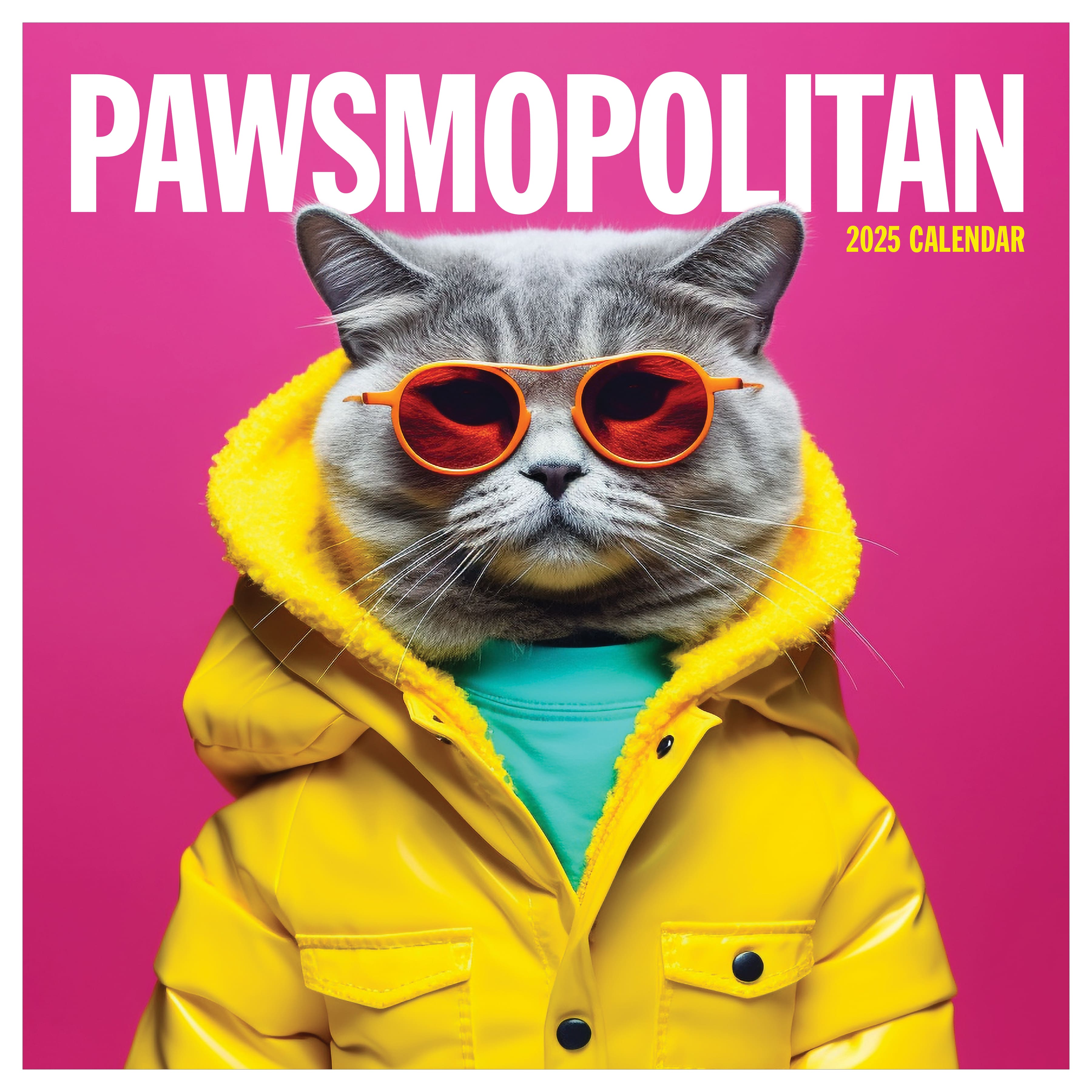 TF Publishing 2025 Pawsmopolitan Wall Calendar