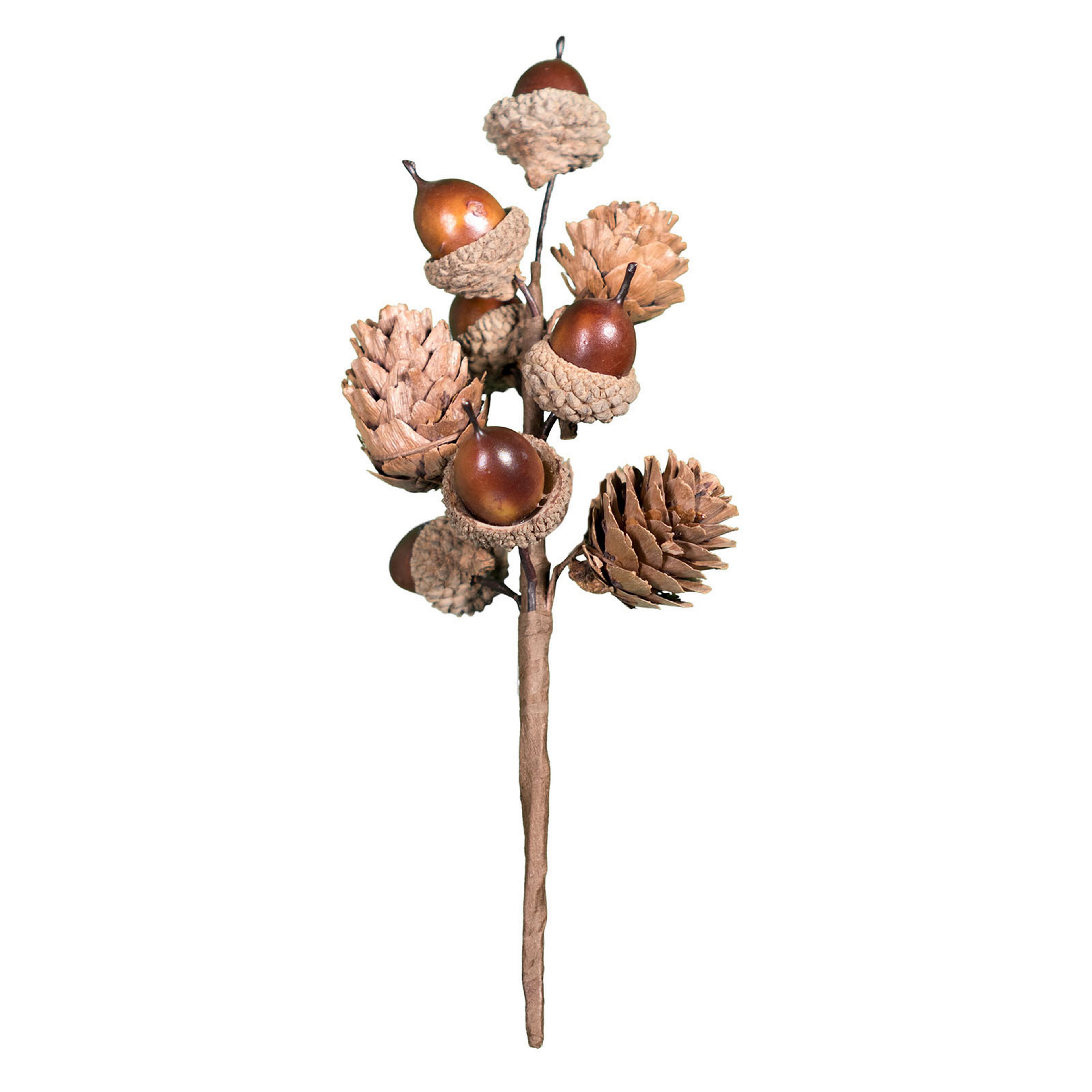 8&#x22; Acorn Pick by Ashland&#xAE;