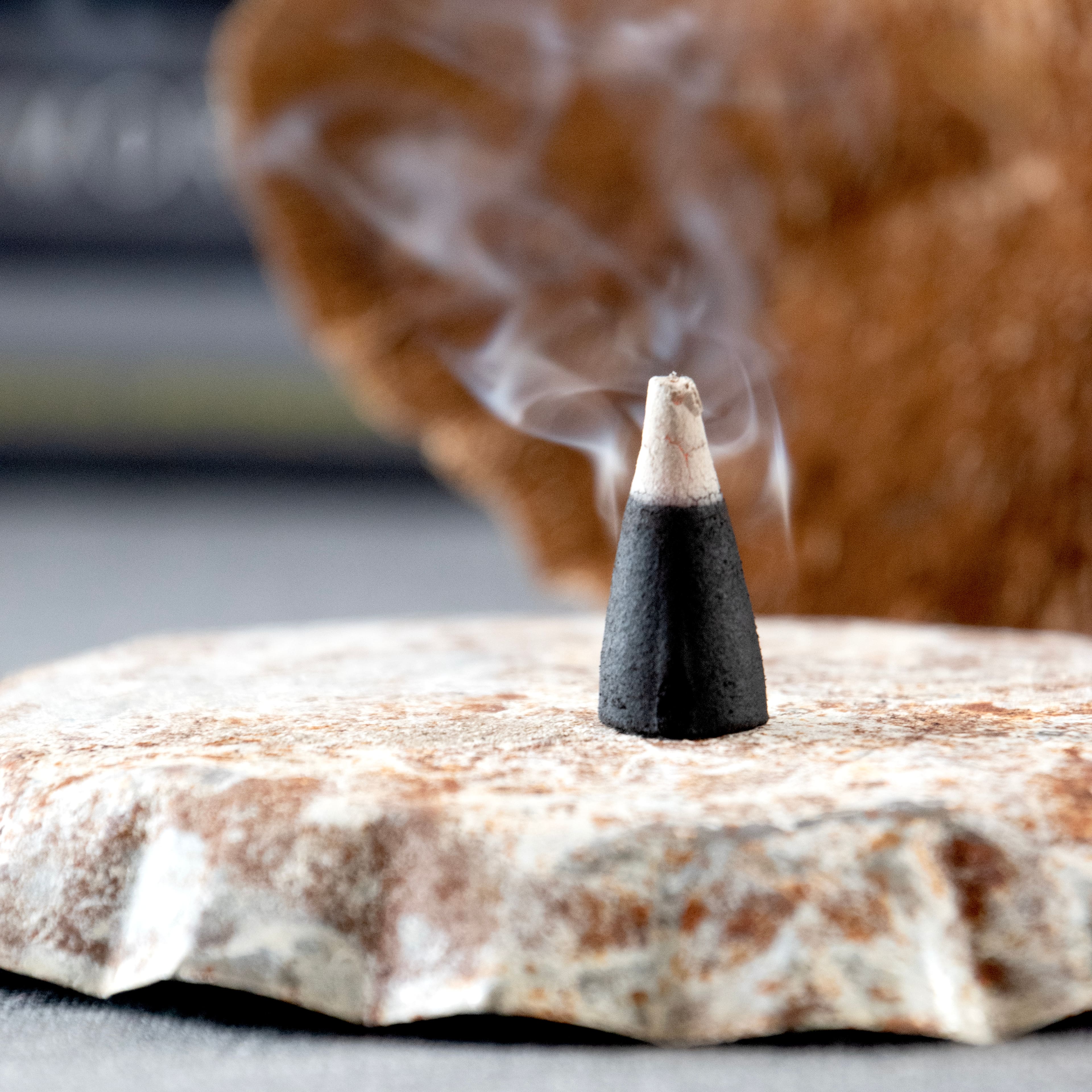 Midnight Woods Scented Incense Cones, 40ct. by Ashland&#xAE;