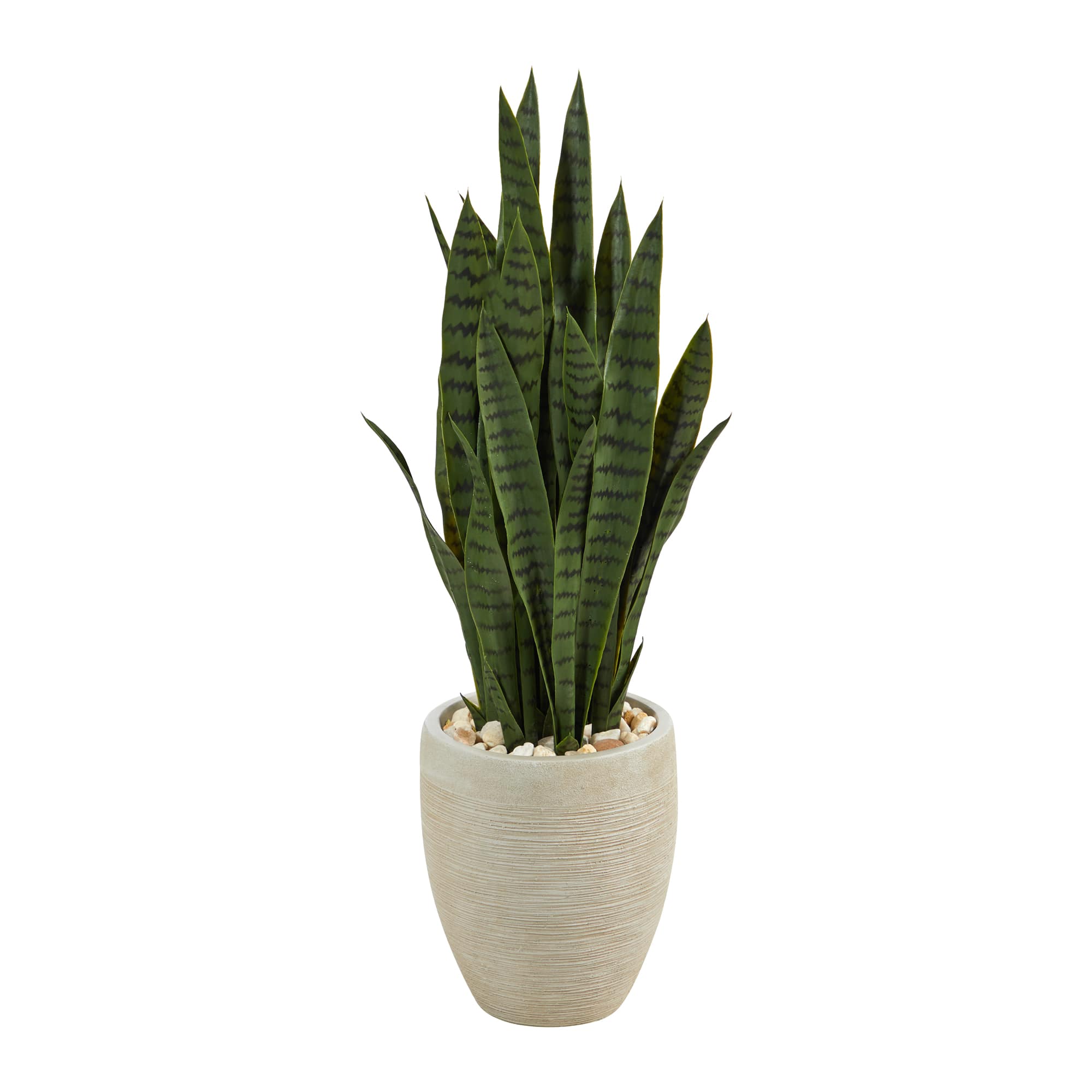 3ft. Snake Plant in Sand Colored Planter