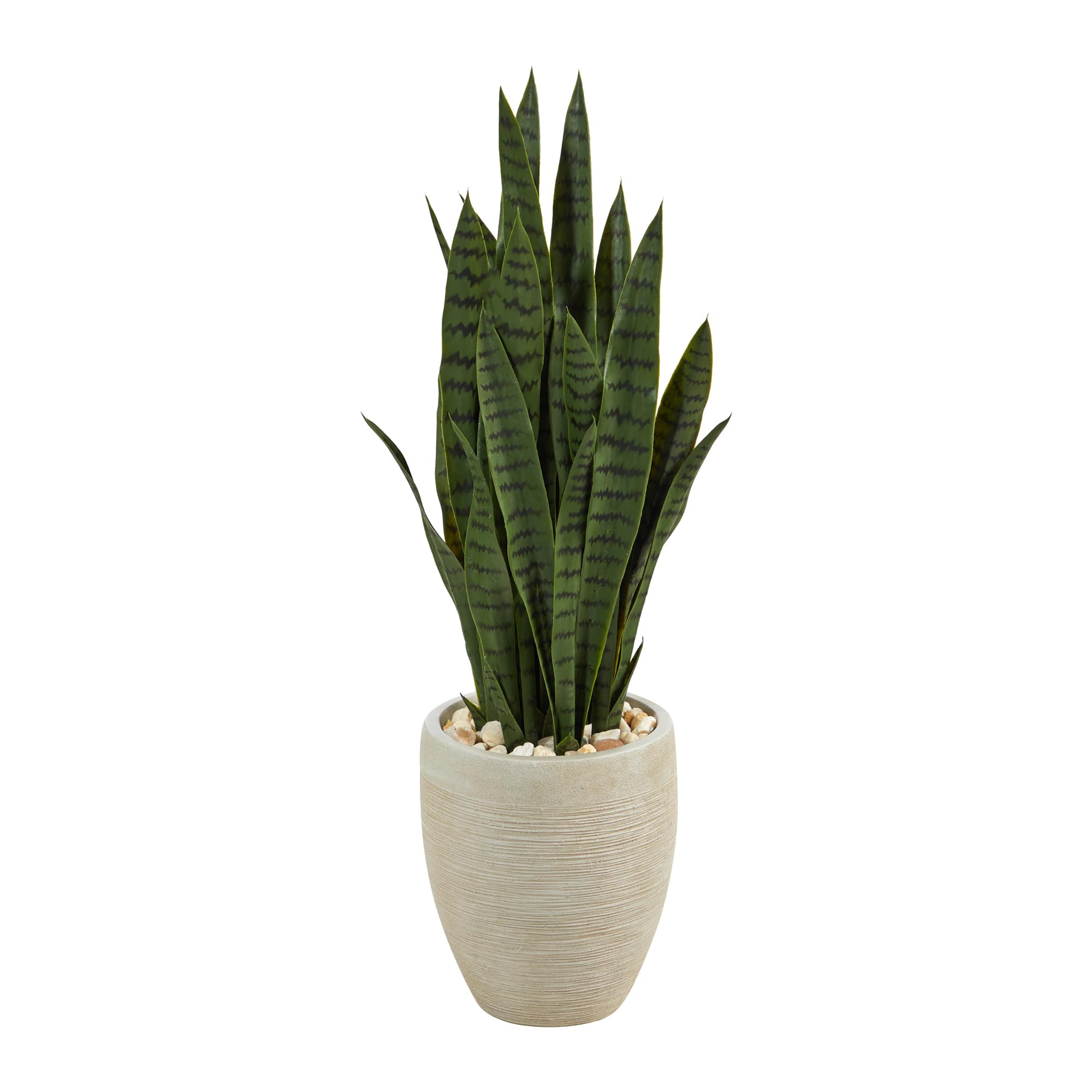 3ft snake plant in sand colored planter michaels