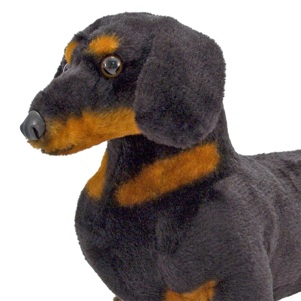 dachshund plush