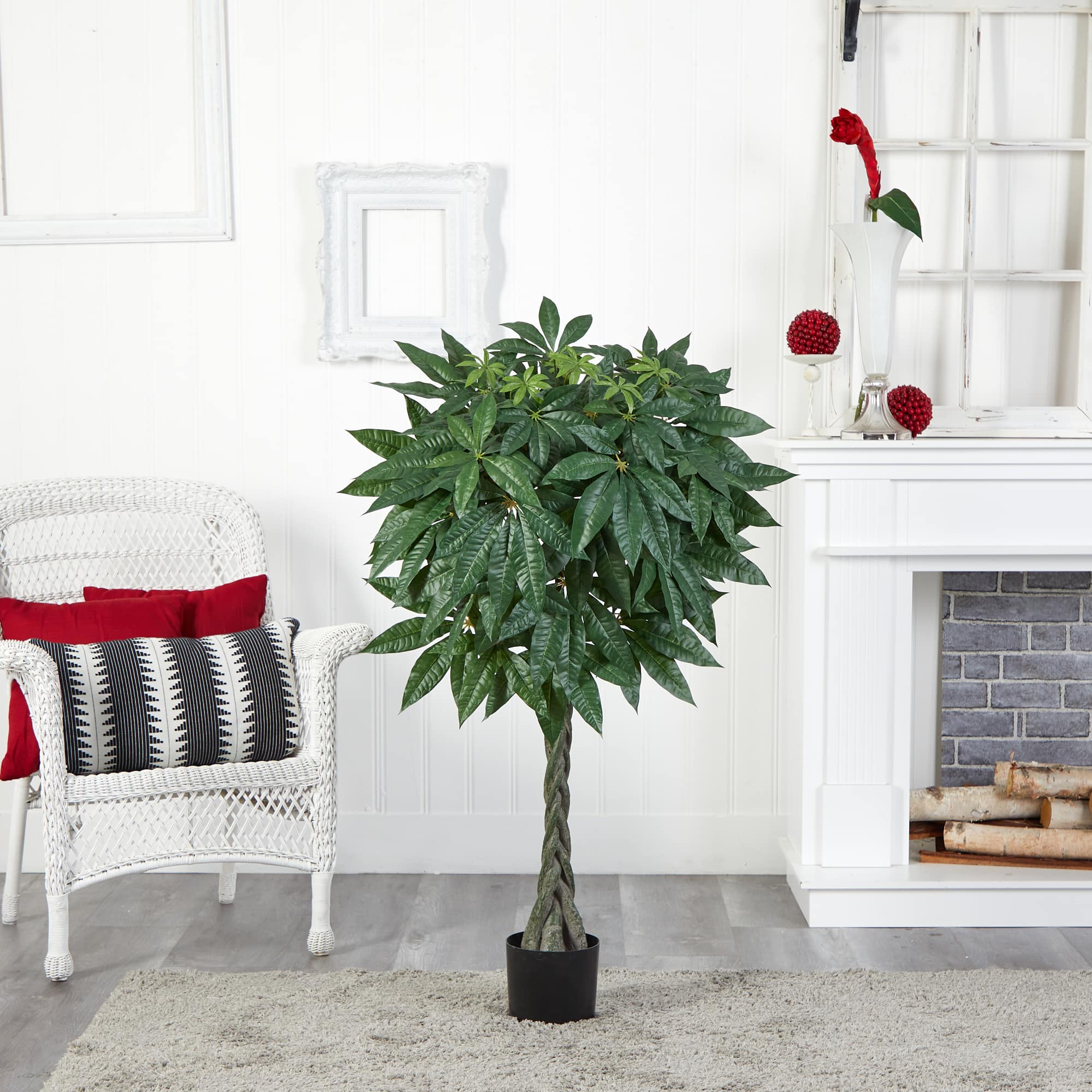 4ft. Potted Braided Money Tree