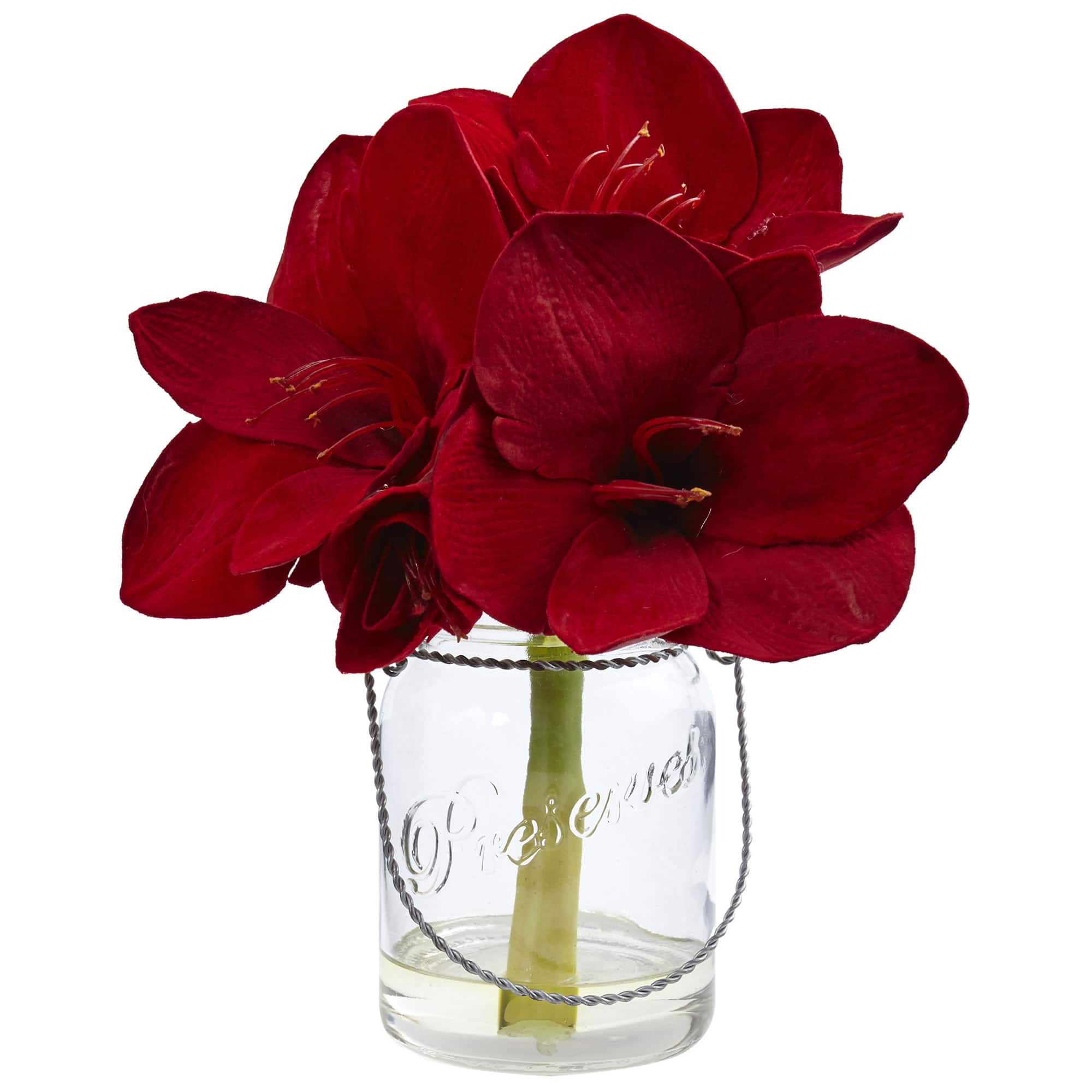 11" Amaryllis Arrangement in Glass Jar, 2ct.