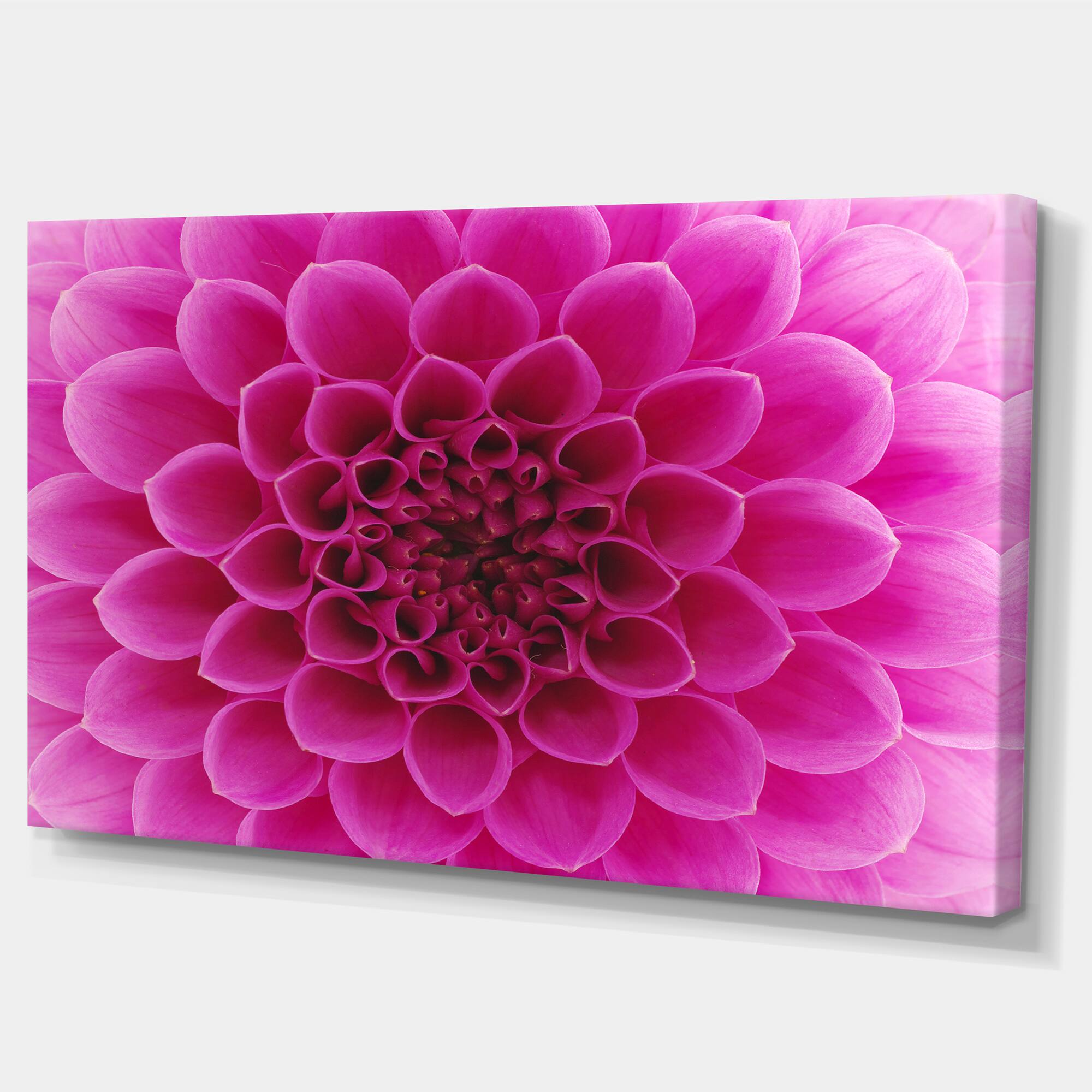 Designart - Dark Pink Abstract Flower Petals - Floral Canvas Art Print