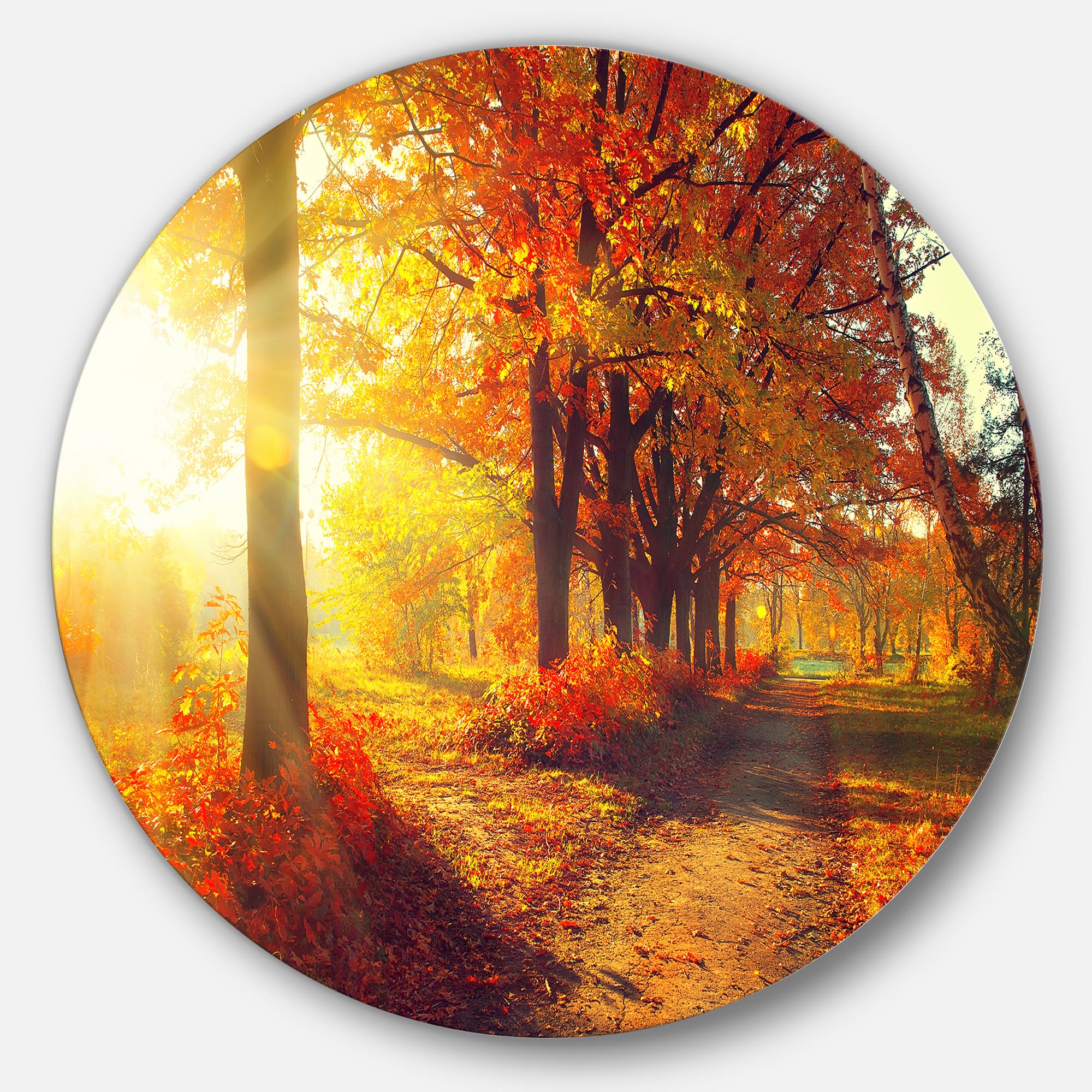Designart - Autumnal Trees in Sunrays' Disc Large Landscape Metal Circle Wall Art