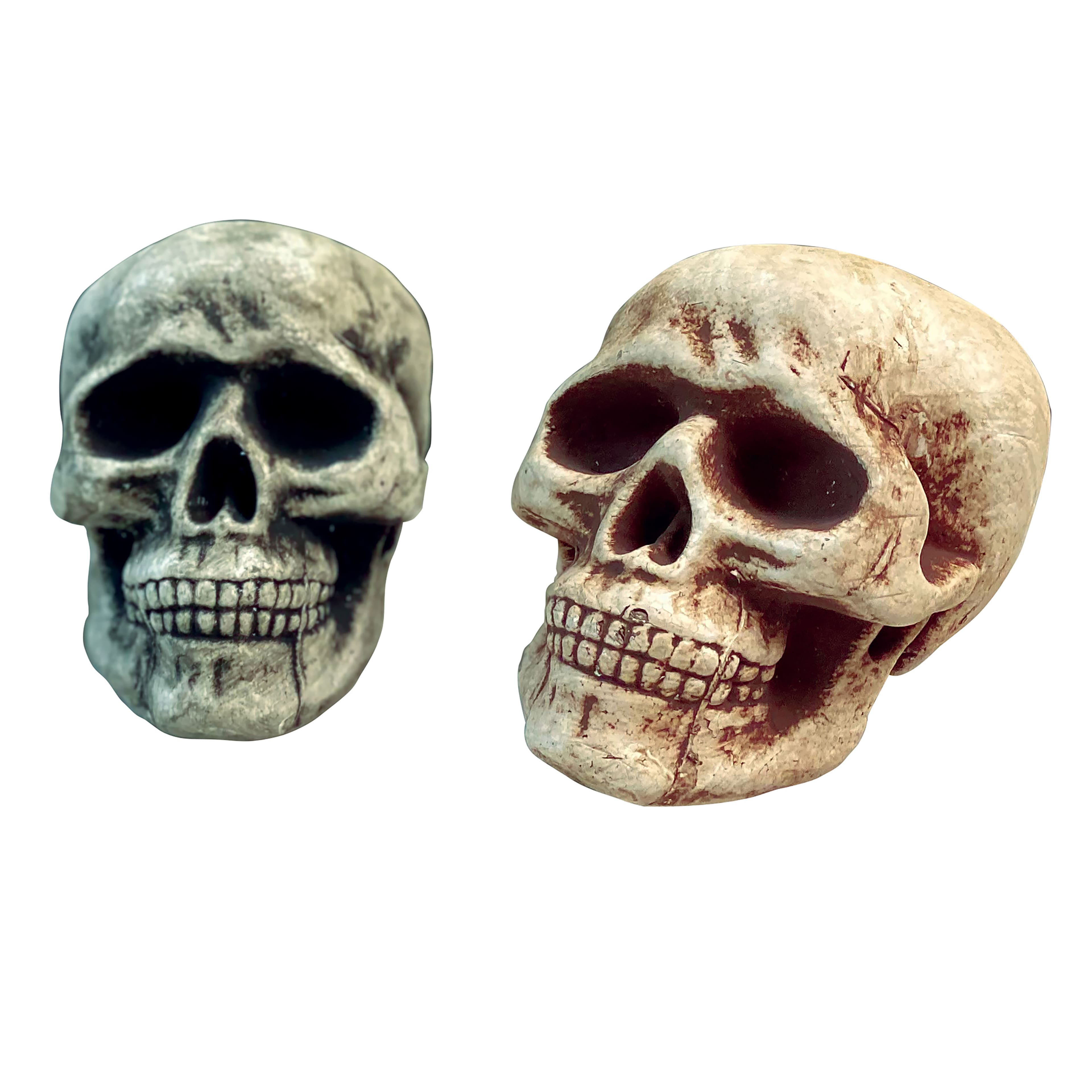 Assorted 8&#x22; Skull by Ashland&#xAE;, 1pc.