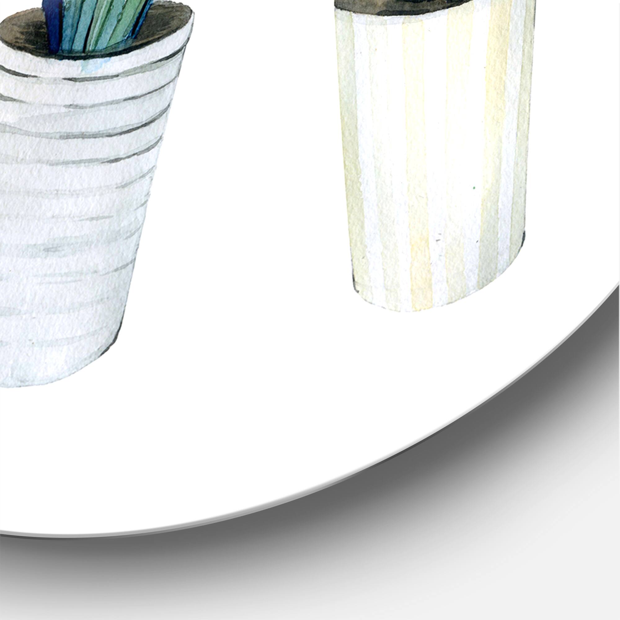 Designart - Cactus Succulent Aloe Vera Home Plants In The Pots