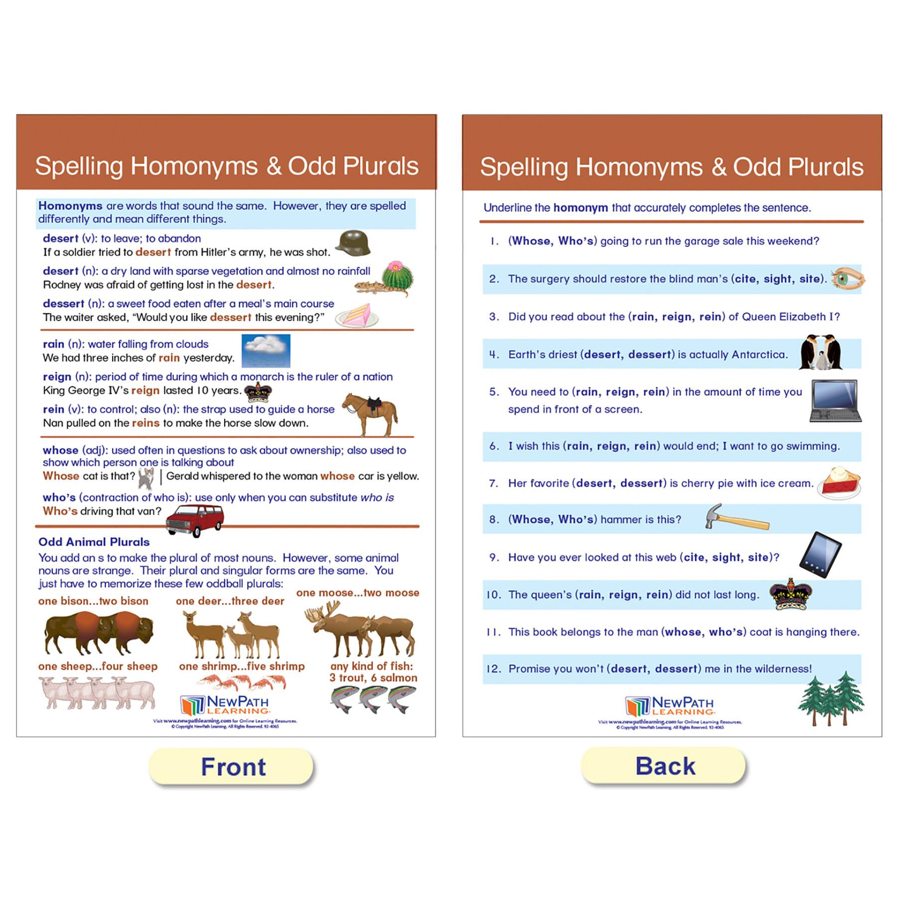 NewPath Learning® 18" x 12" Spelling Rules Bulletin Board Chart Set