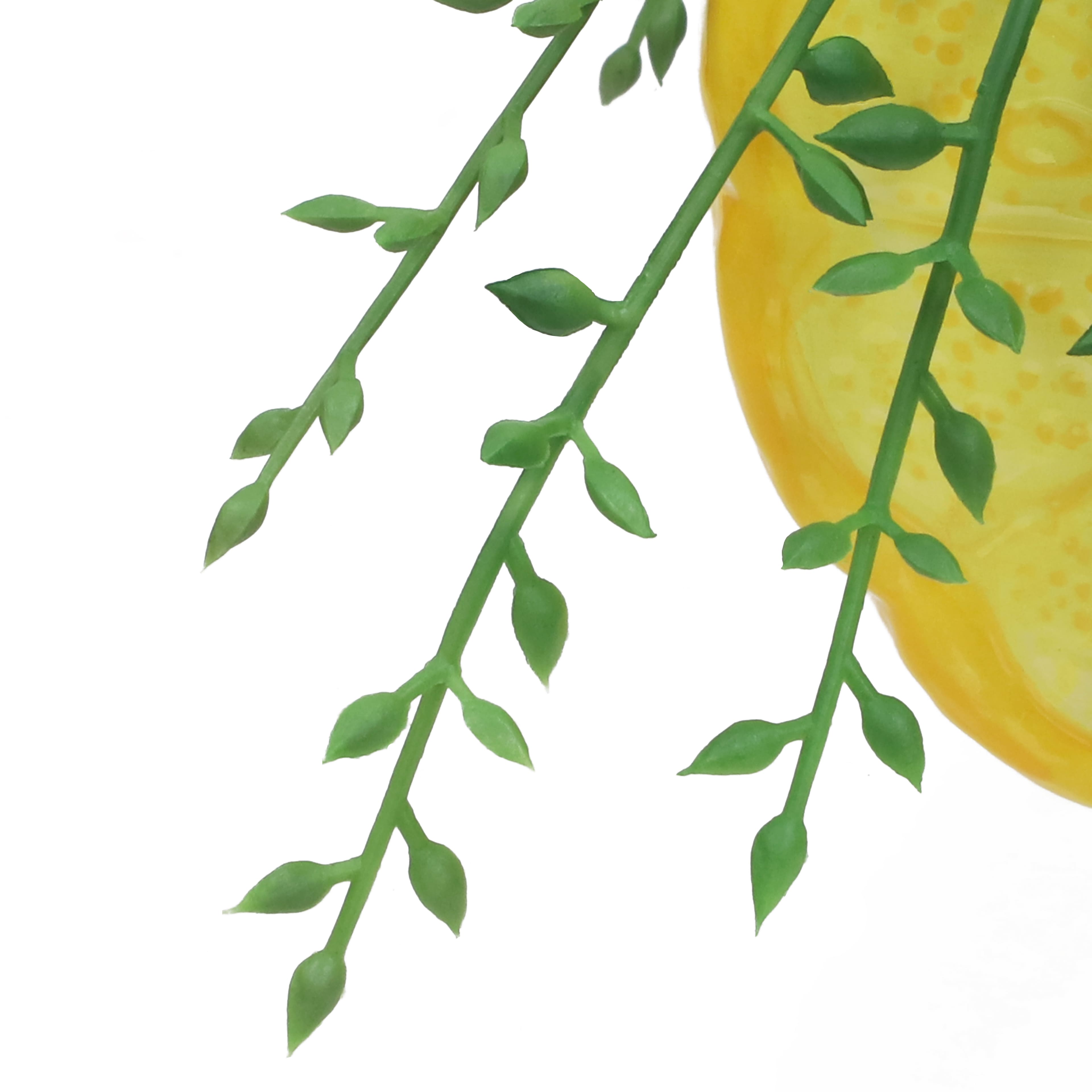 6&#x22; String of Pearls in Lemon Container by Ashland&#xAE;
