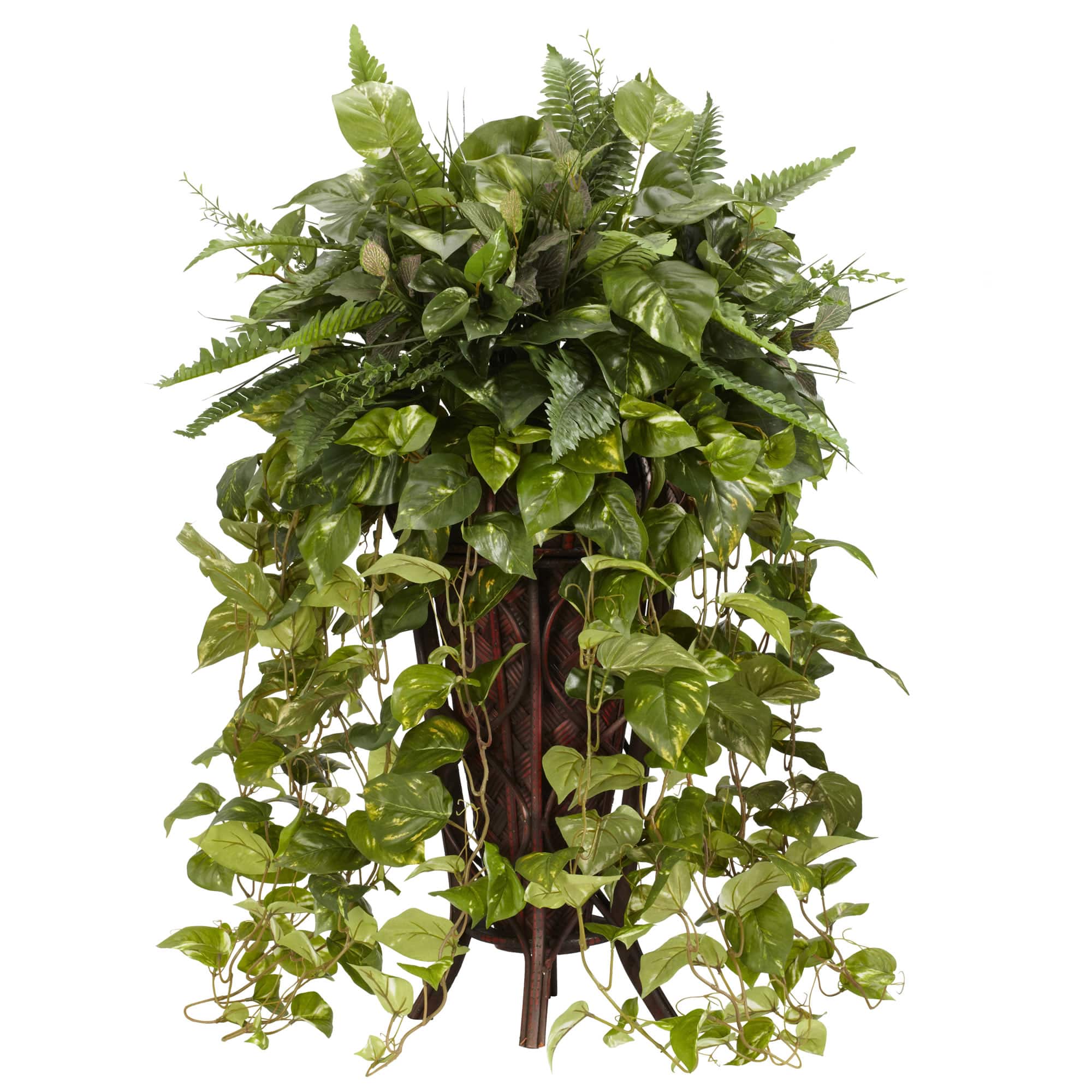 3ft. Vining Mixed Greens Plant in Decorative Stand