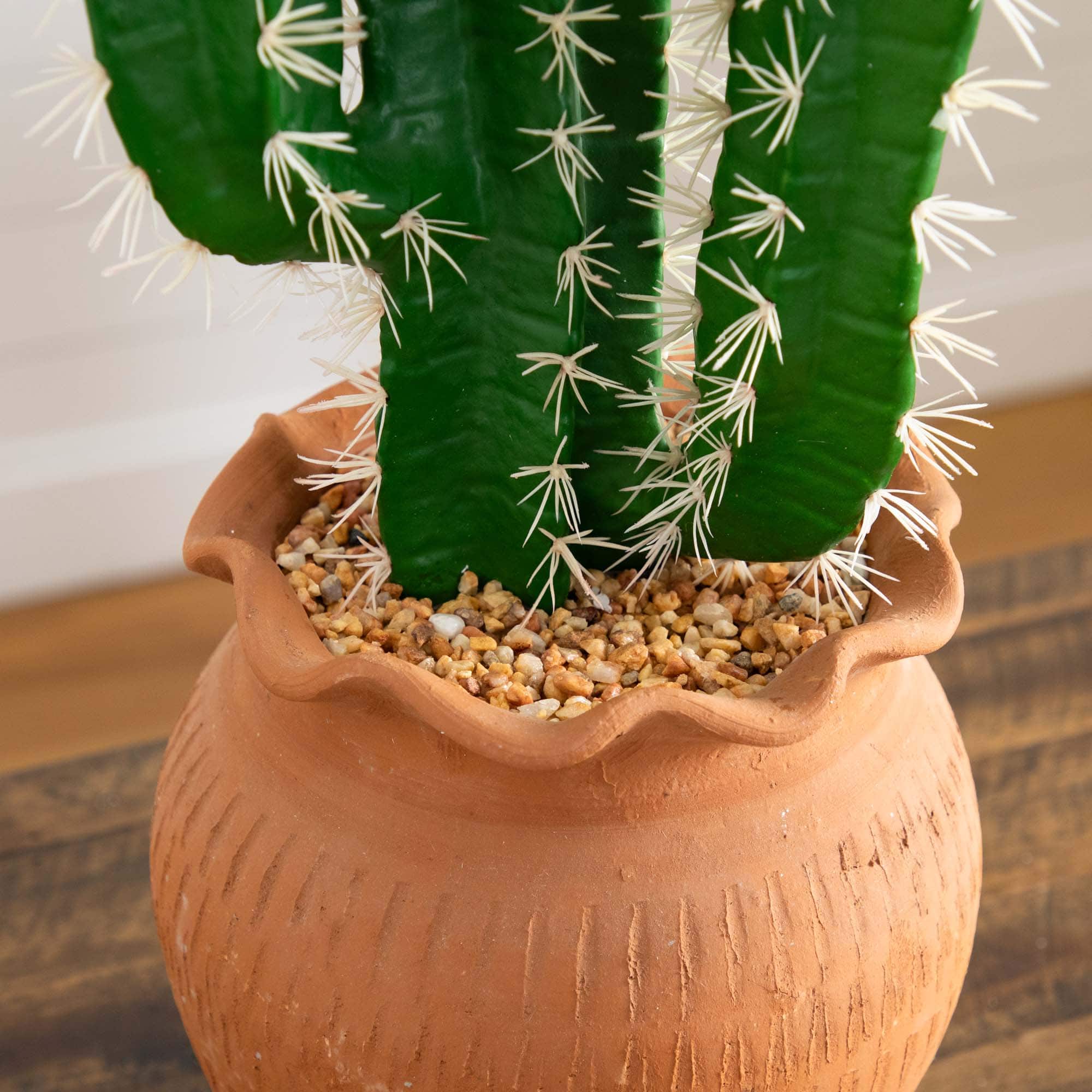 2ft. Cactus in Terracotta Planter | Michaels