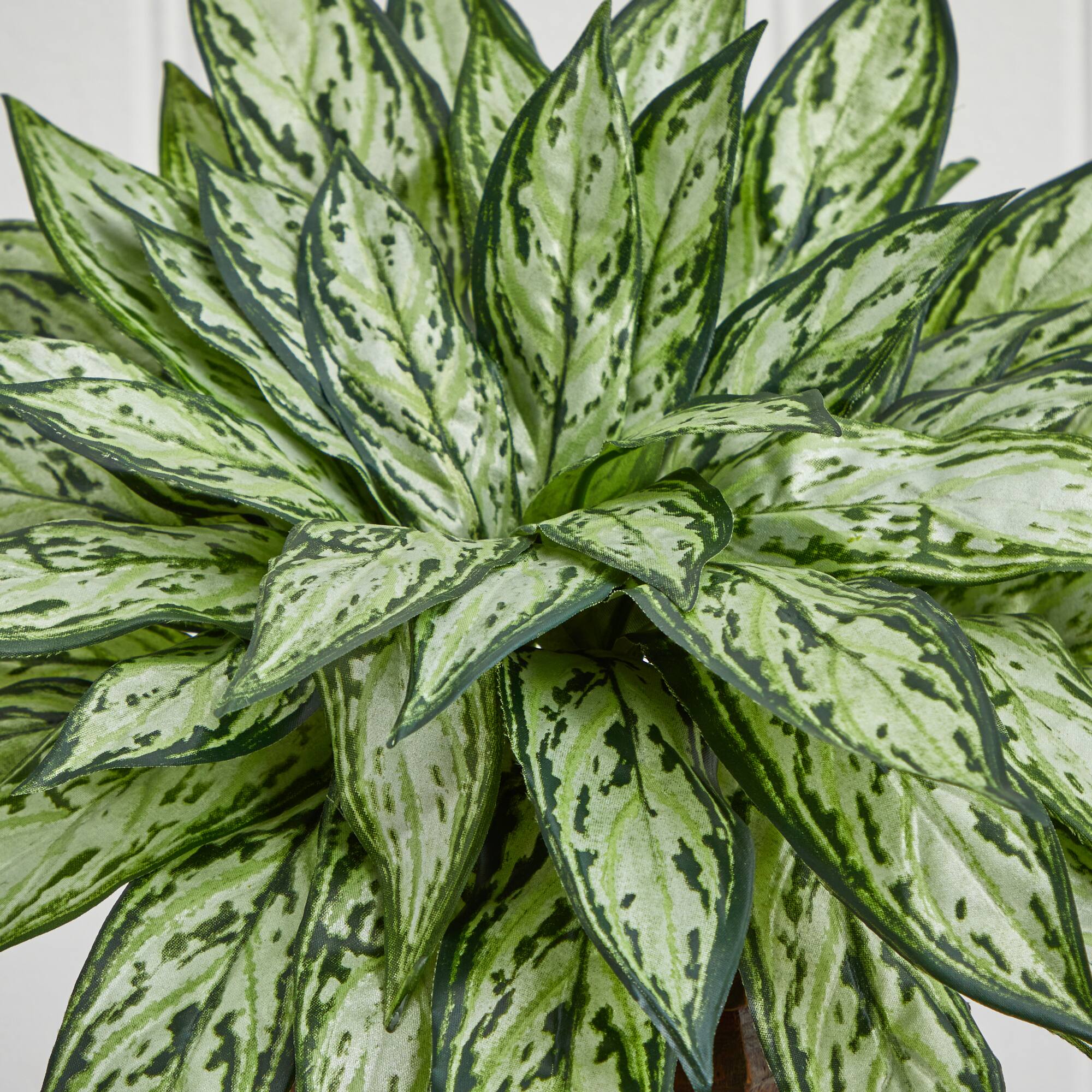 14" Triple Silver Queen Silk Plant in Hexagon Vase