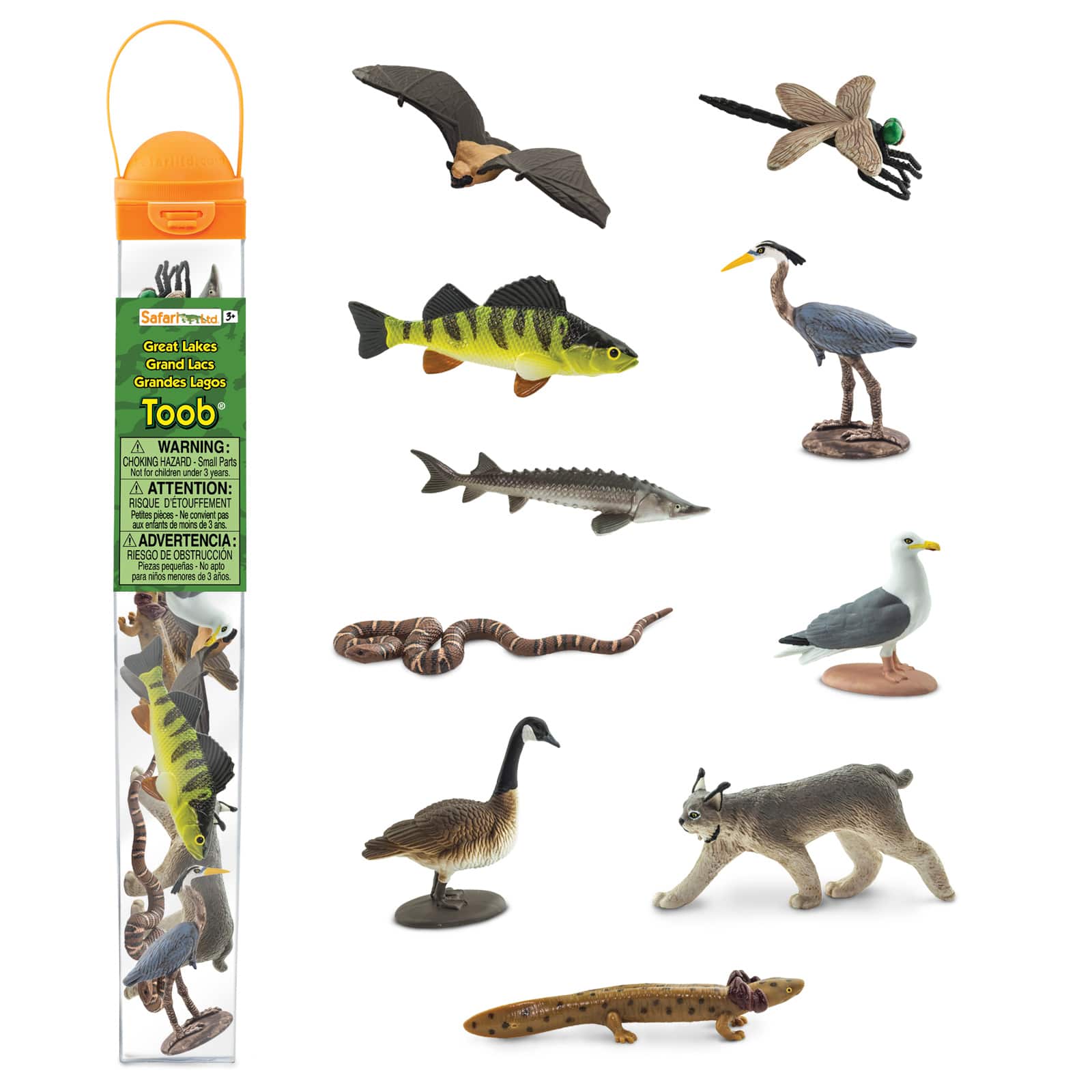 Toobs Backyard Birds Safari Ltd Set Educational Kids Toy Figure 