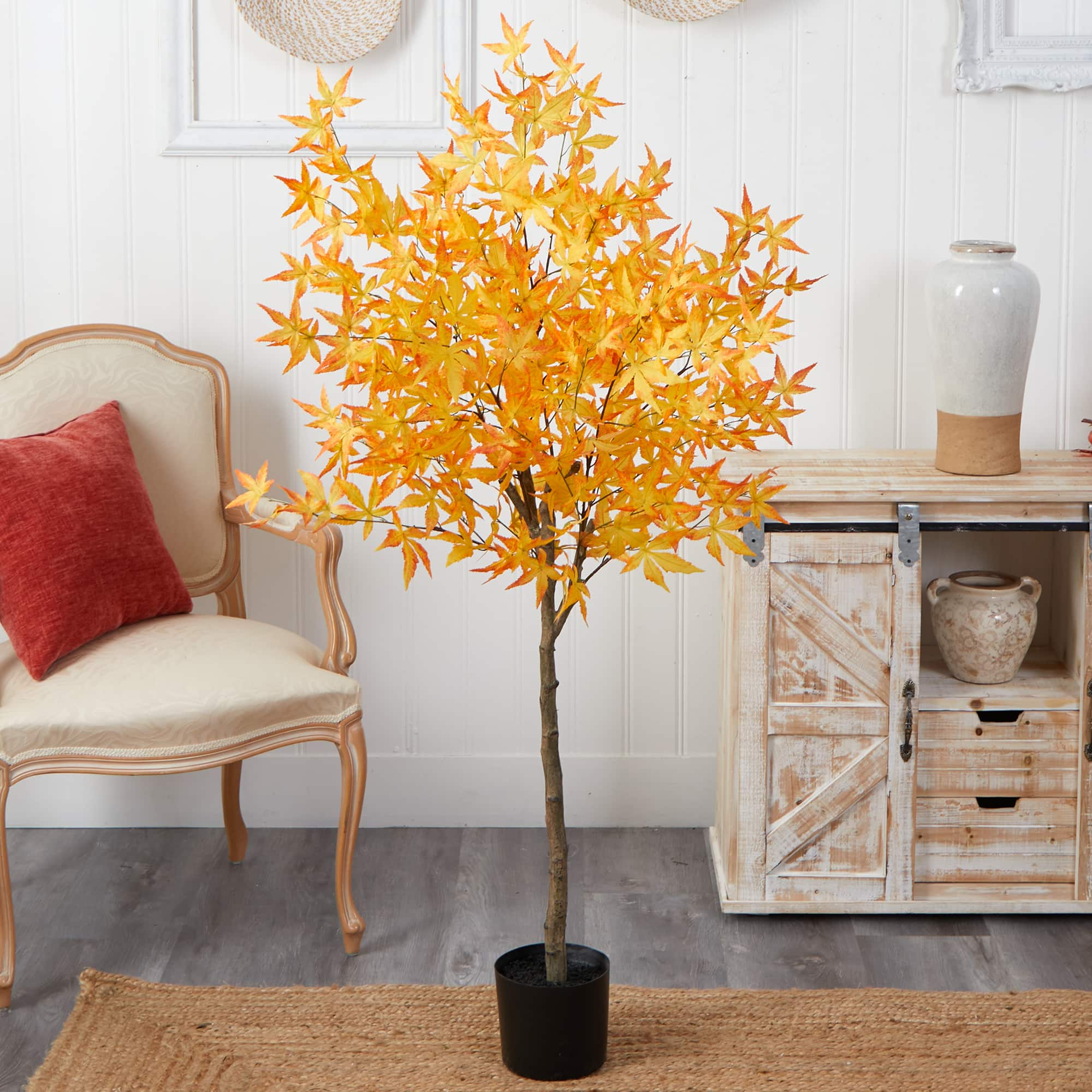 5ft. Potted Yellow Autumn Maple Tree