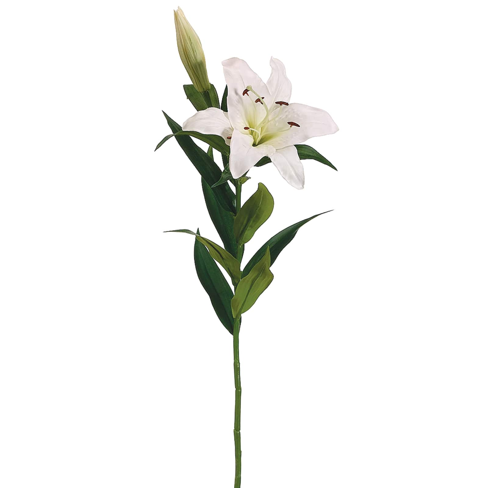 White Stargazer Lily Spray