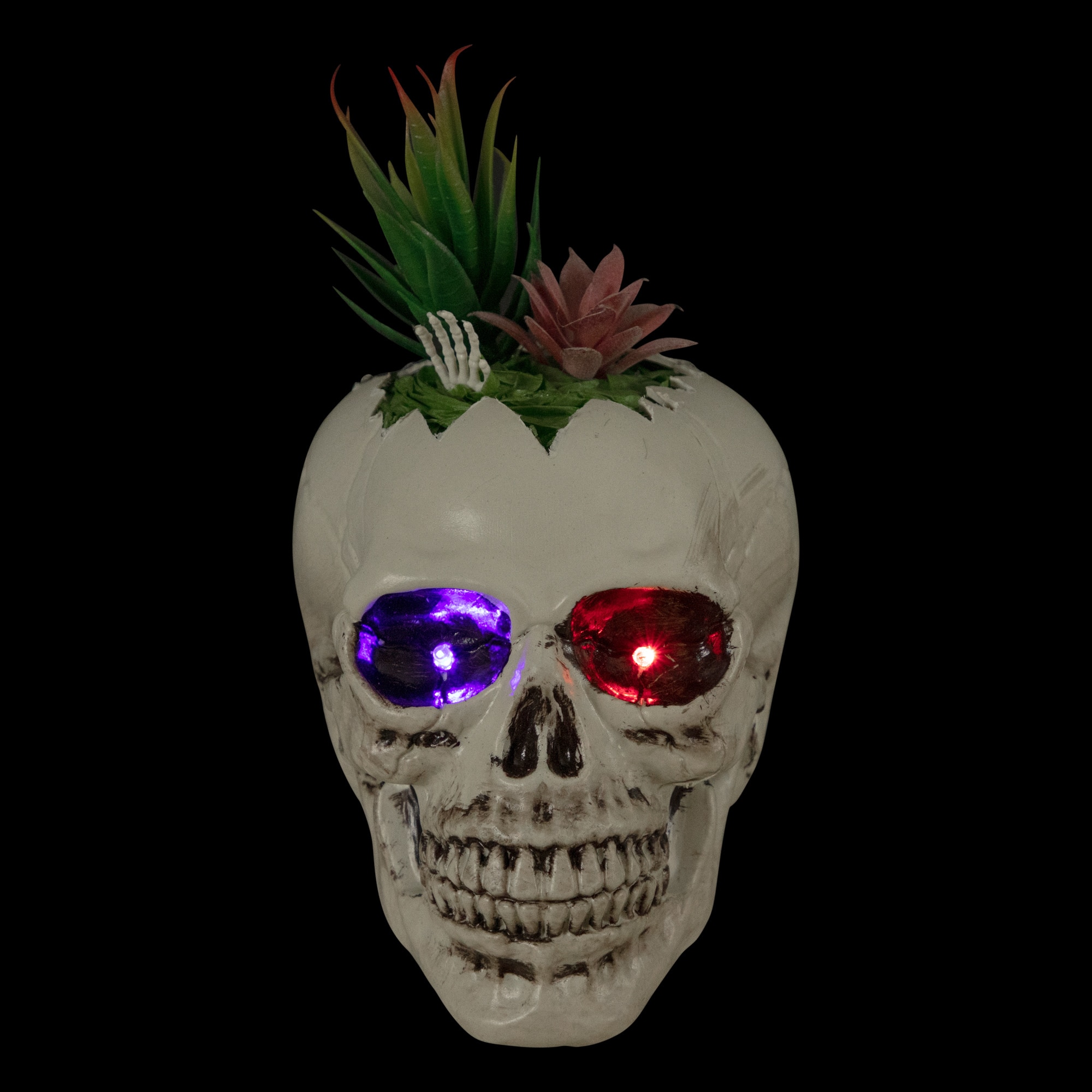 9" LED Lighted Succulent Halloween Skull Planter