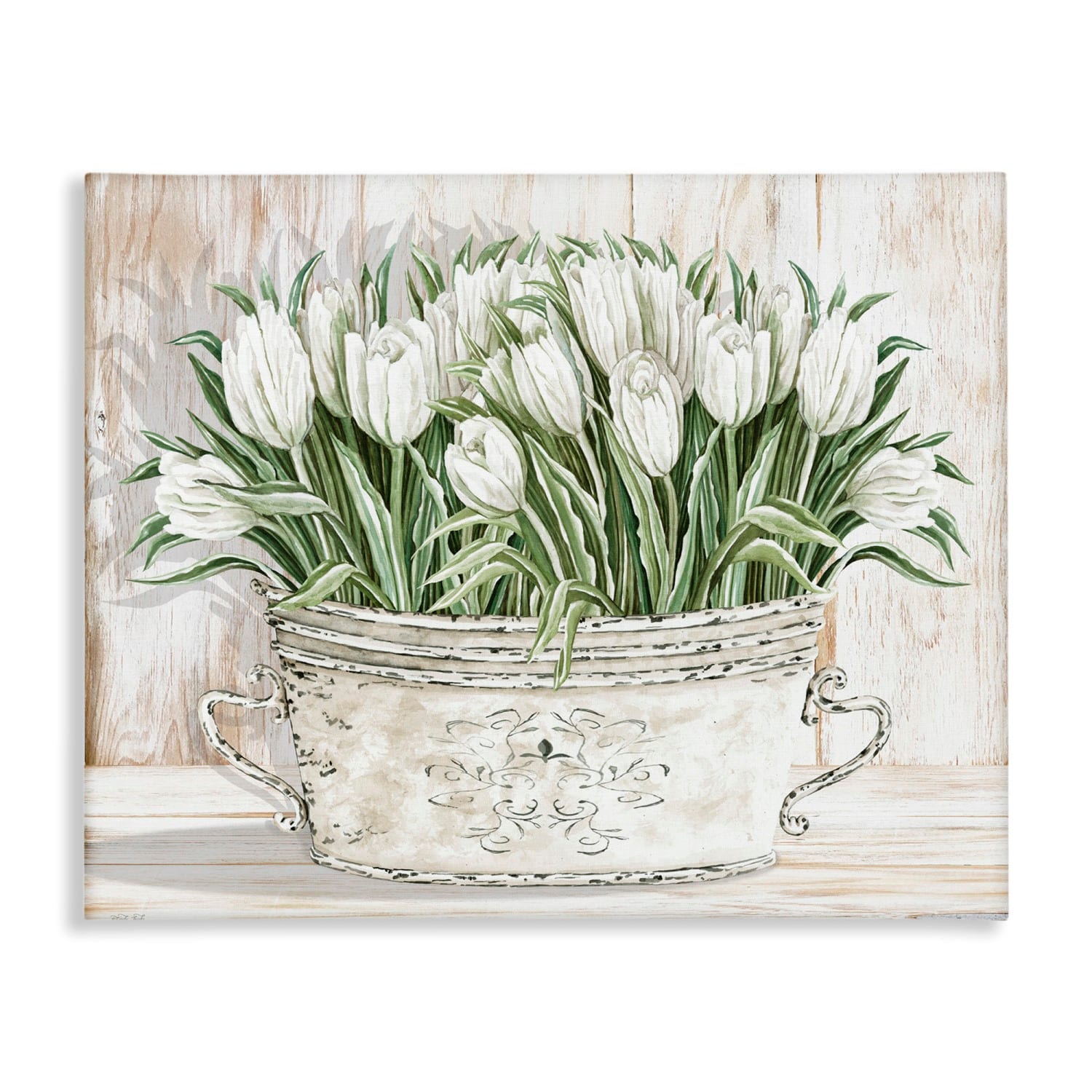 Stupell Industries Fresh White Tulip Flowers Vintage Canvas Wall Art