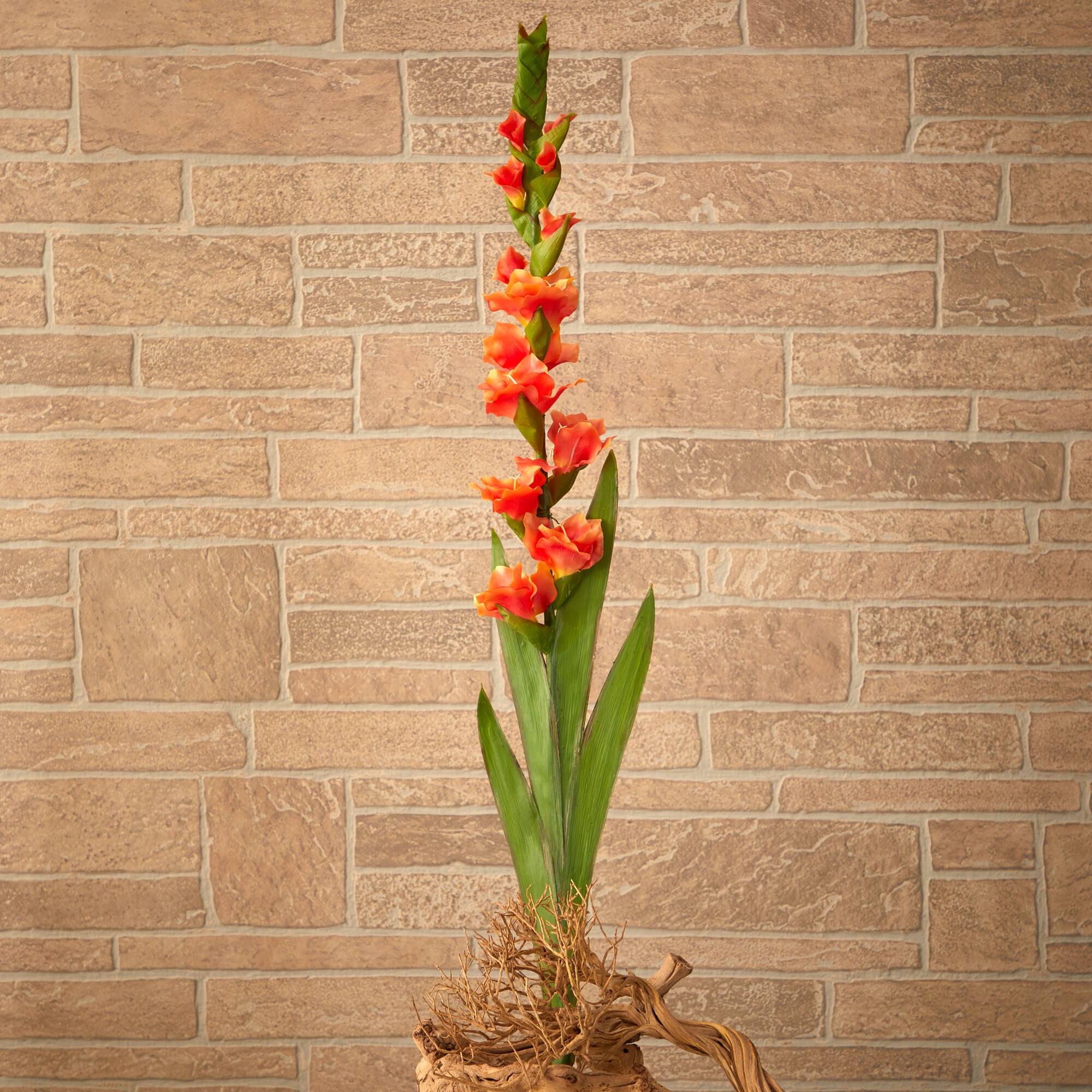 Salmon Gladiolus Flower Stems, 3ct.