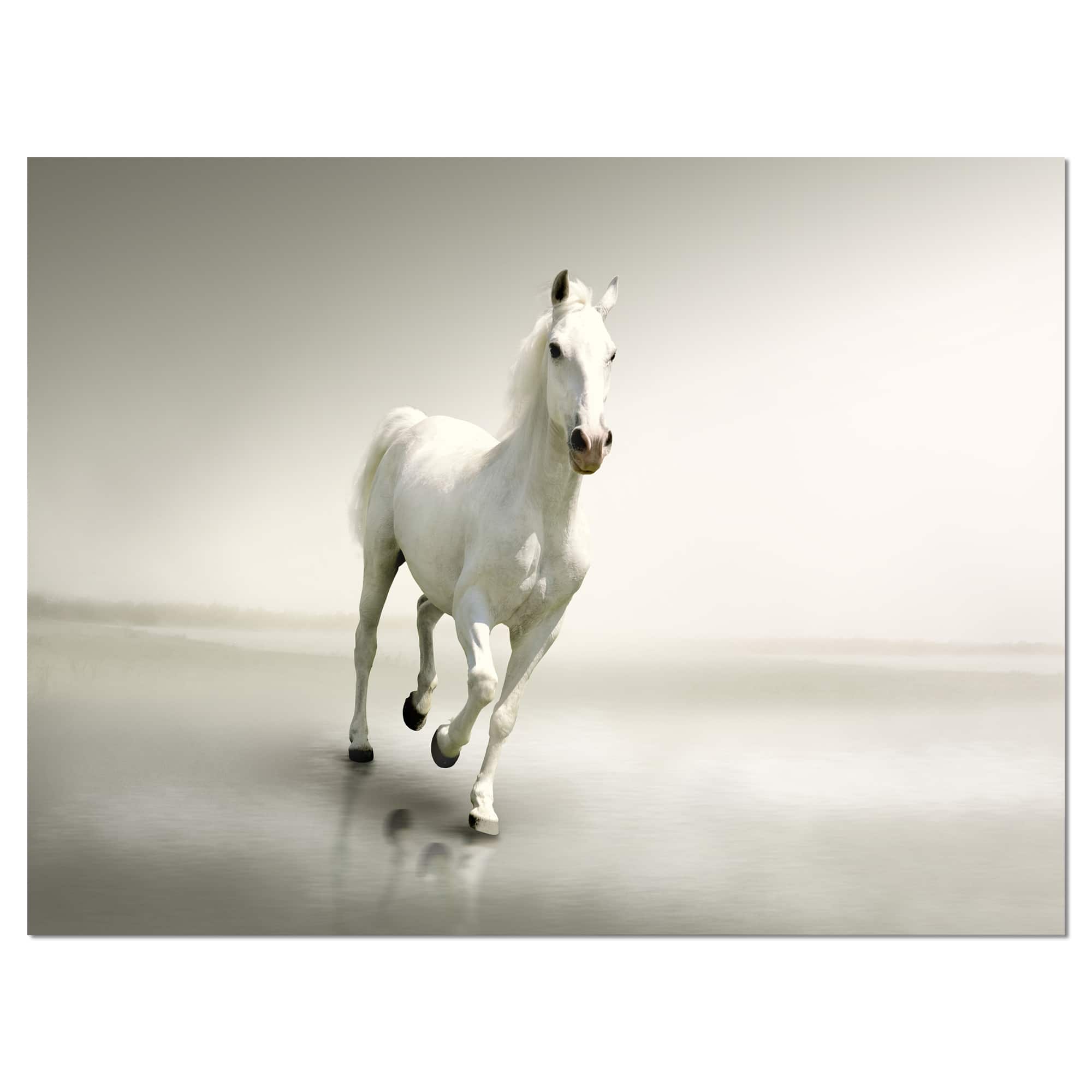 Designart - Beautiful White Horse Running - Animal Canvas Art Print