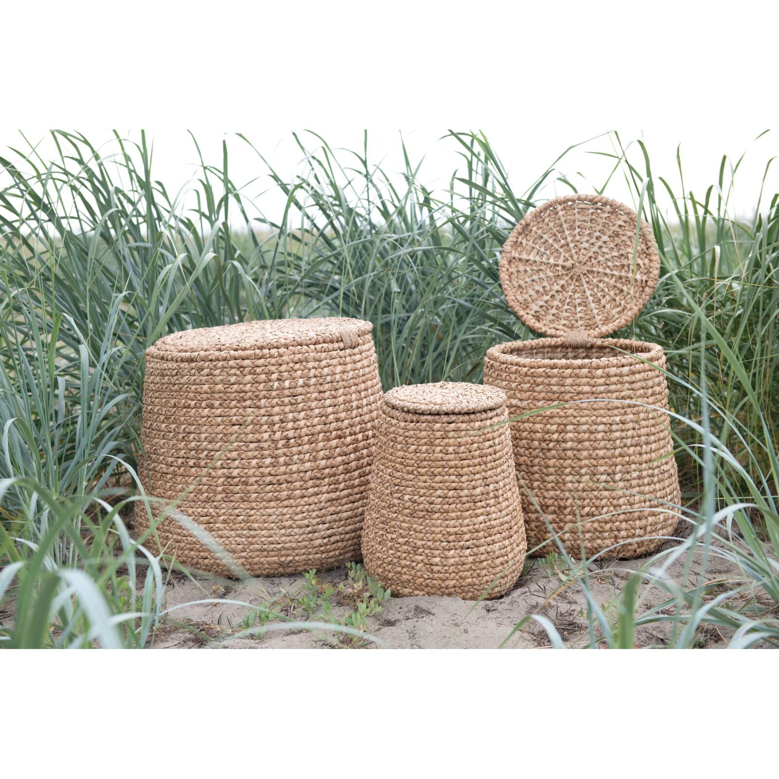 Woven Water Hyacinth & Rattan Baskets with Lids Set Michaels