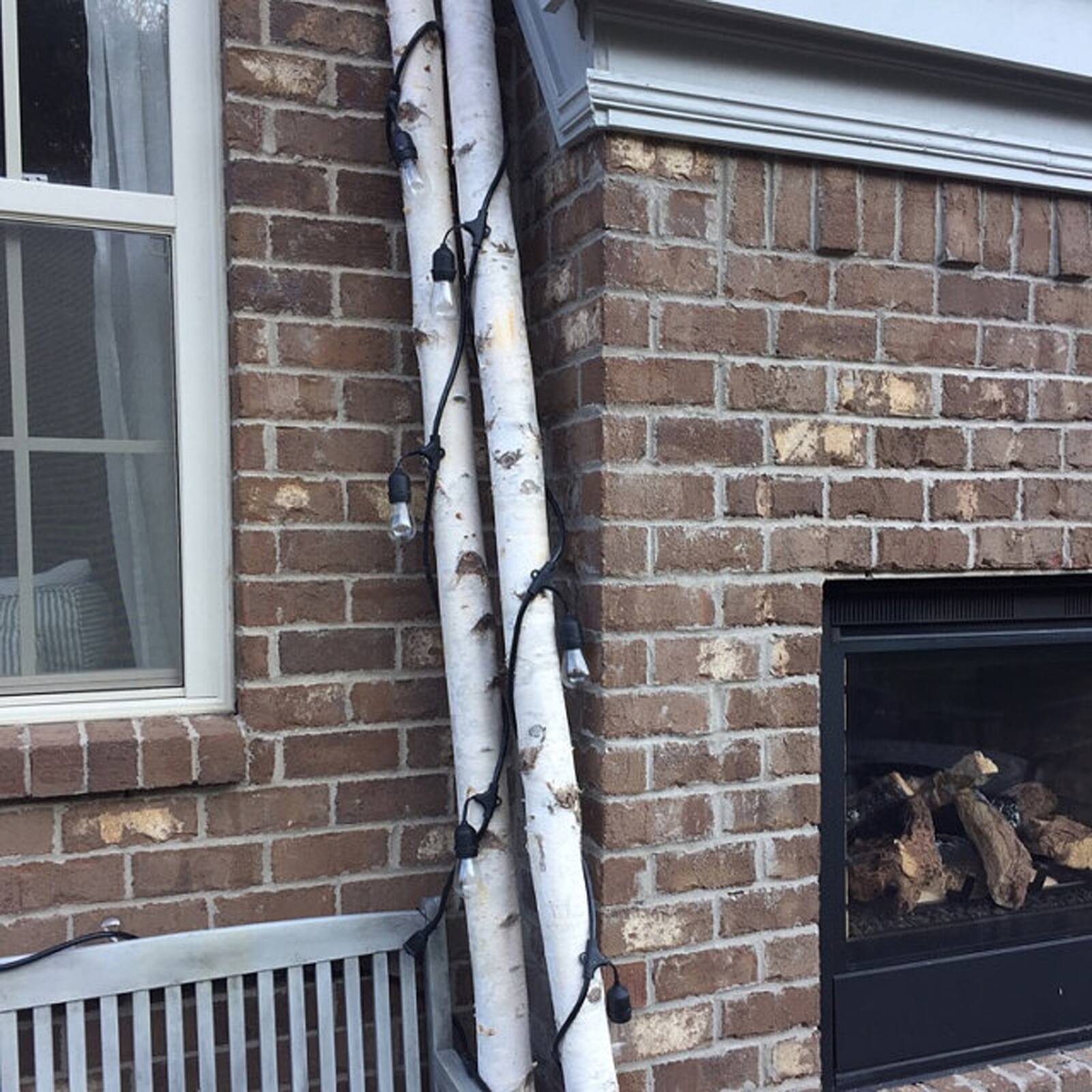 Wilson® Enterprises White Birch Poles