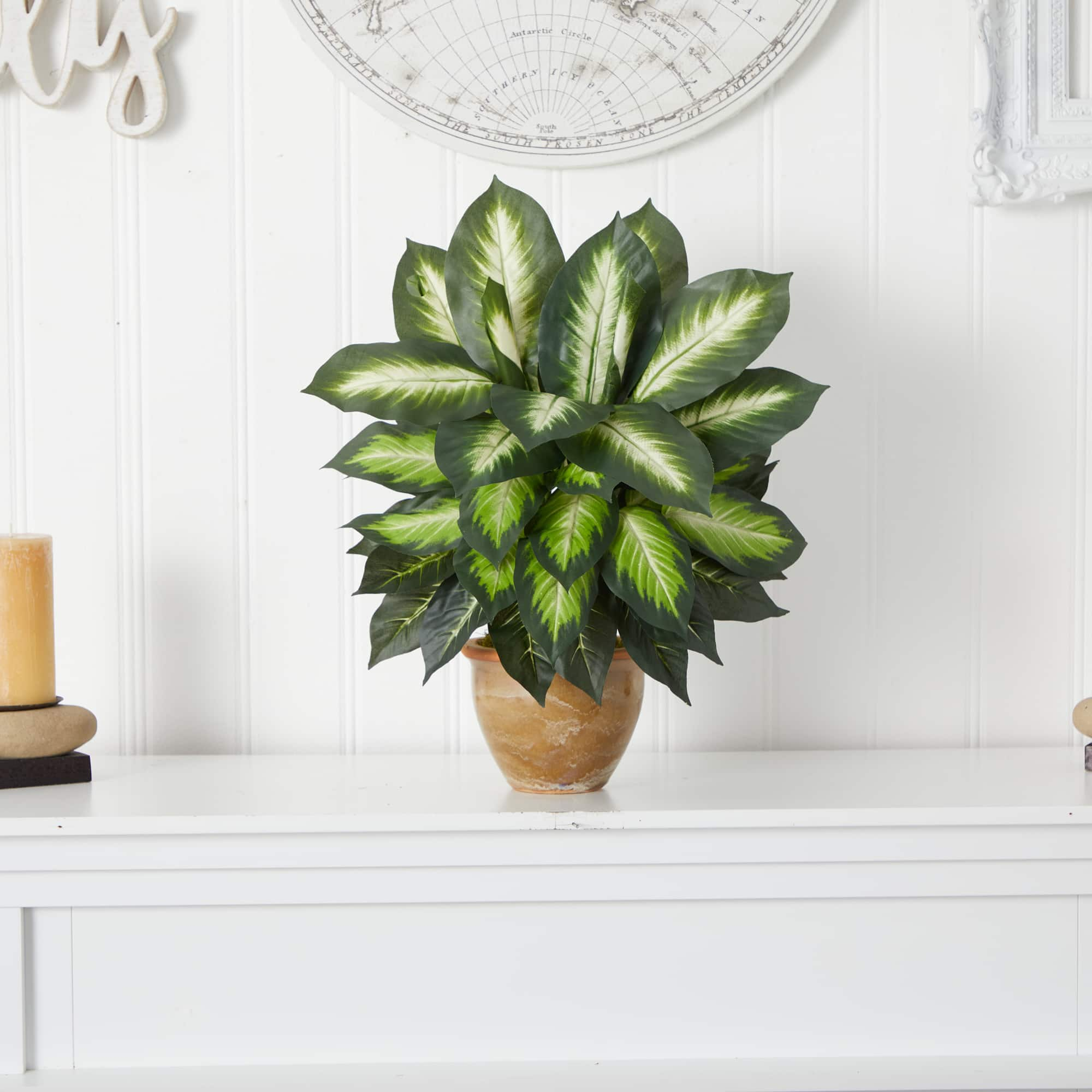 18&#x22; Dieffenbachia Tree In Ceramic Planter