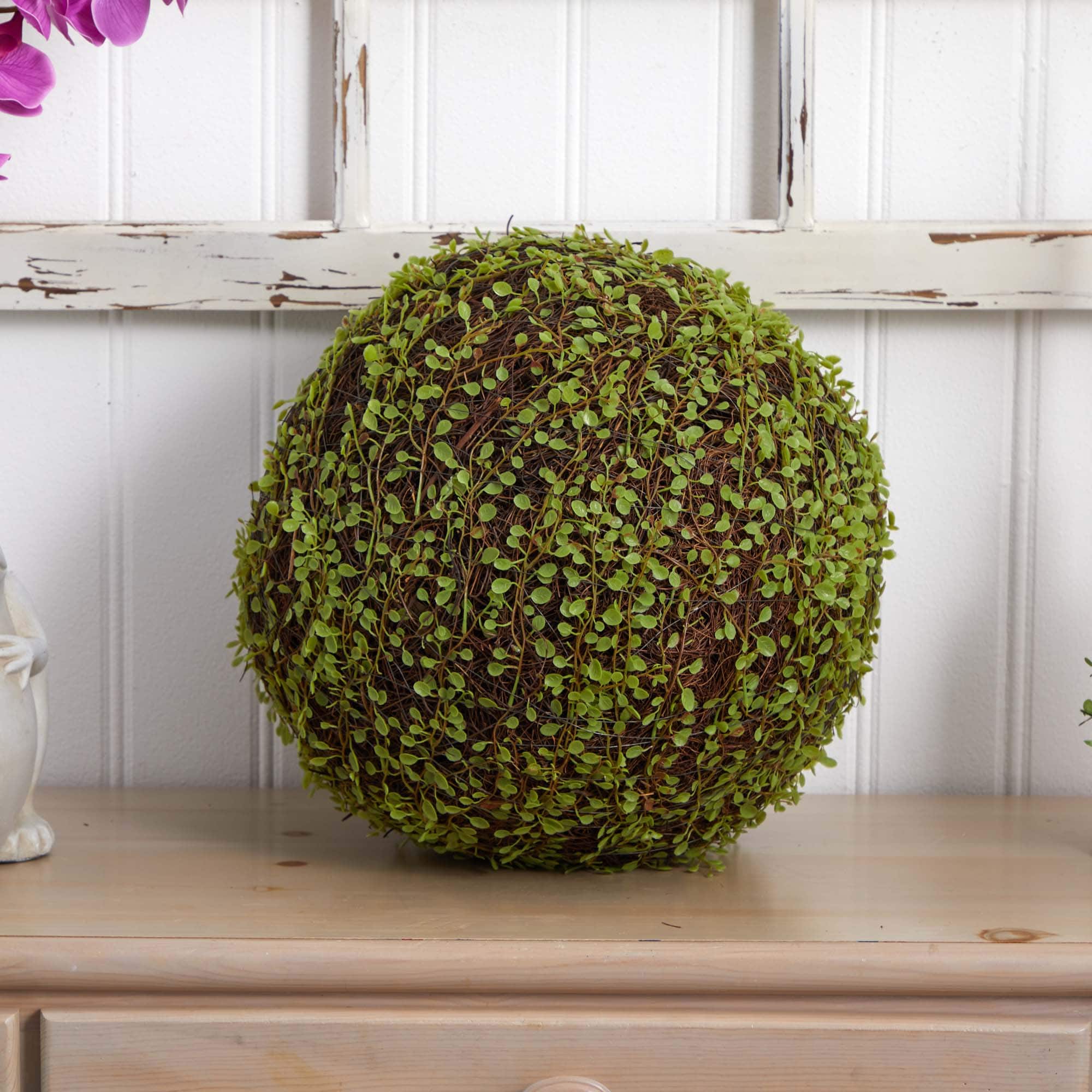 2.5ft. Mohlenbechia Ball in Black Tower Vase